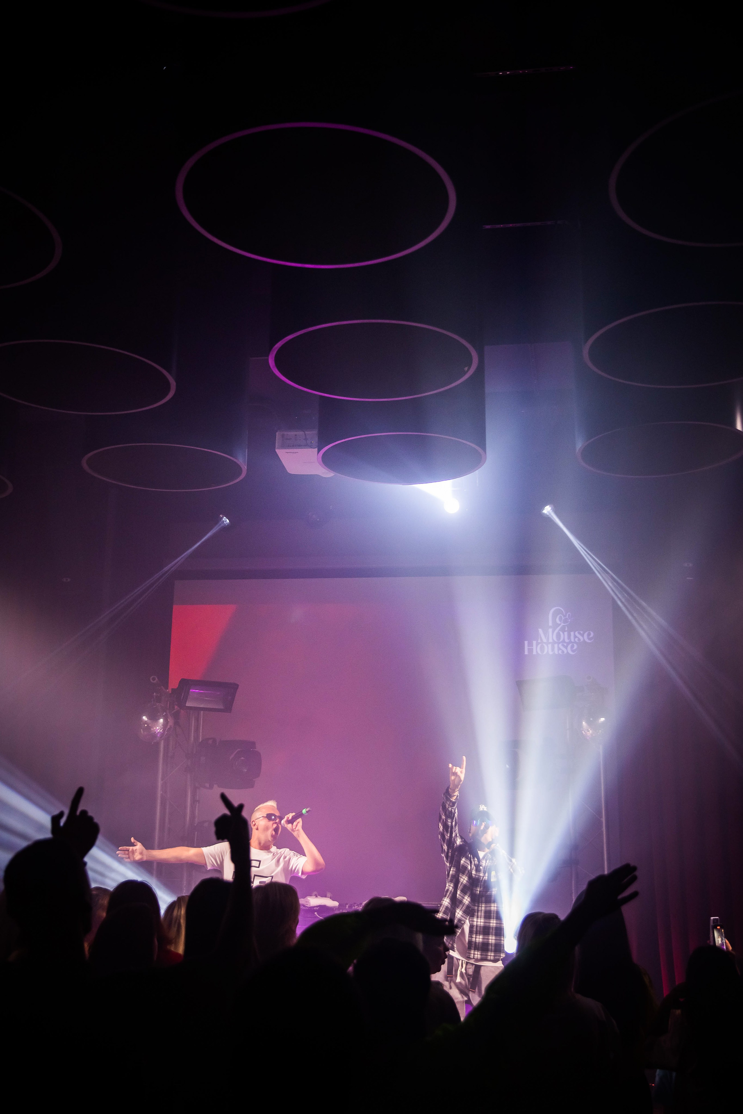 Отпетые мошенники в Mouse House. NesterovaMaria.ru