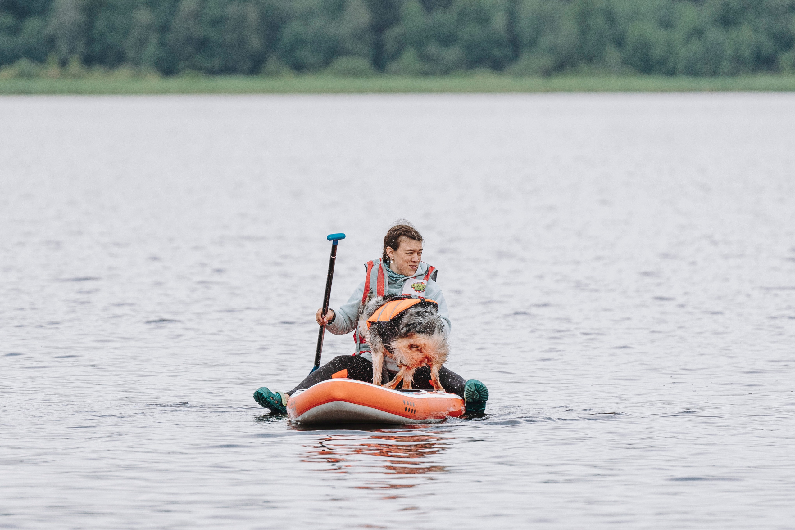 Катание на сапах с собаками. Фотограф анималист в Спб недорого Олеся Майорова