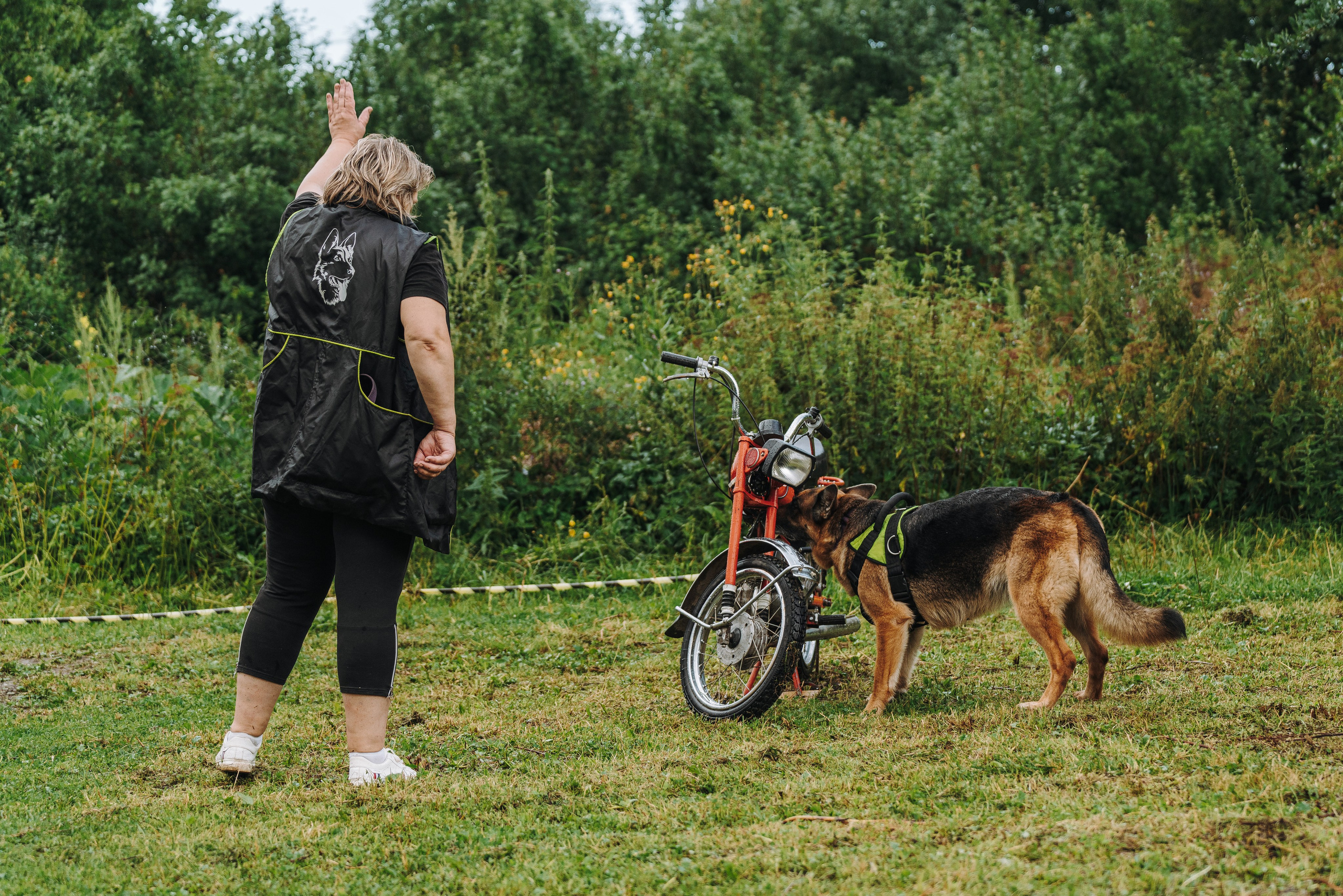Соревнования по ноузворку в Новожилово. Фотограф анималист в Спб недорого Олеся Майорова