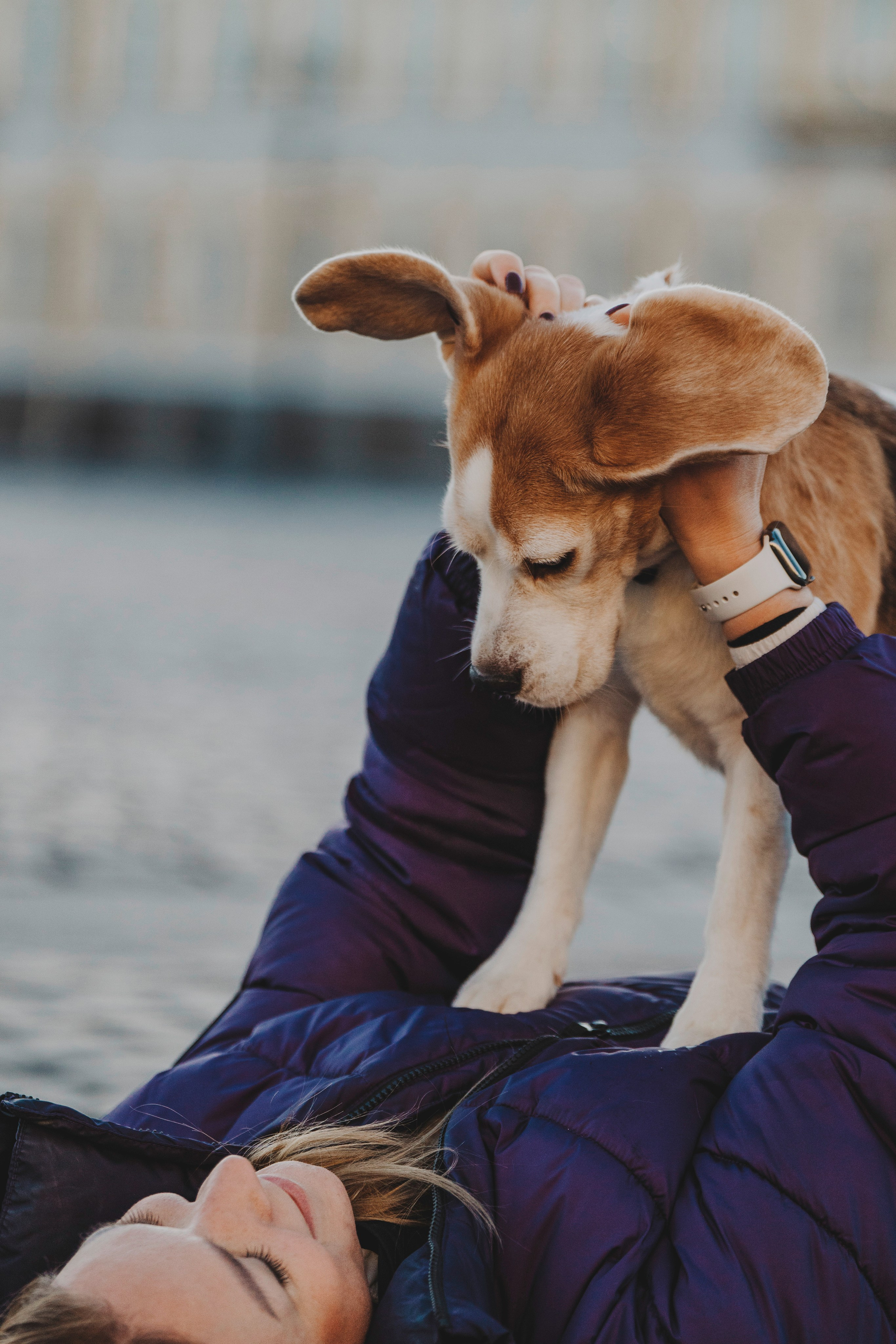 Ксения и Гаечка. Фотограф анималист в Спб недорого Олеся Майорова