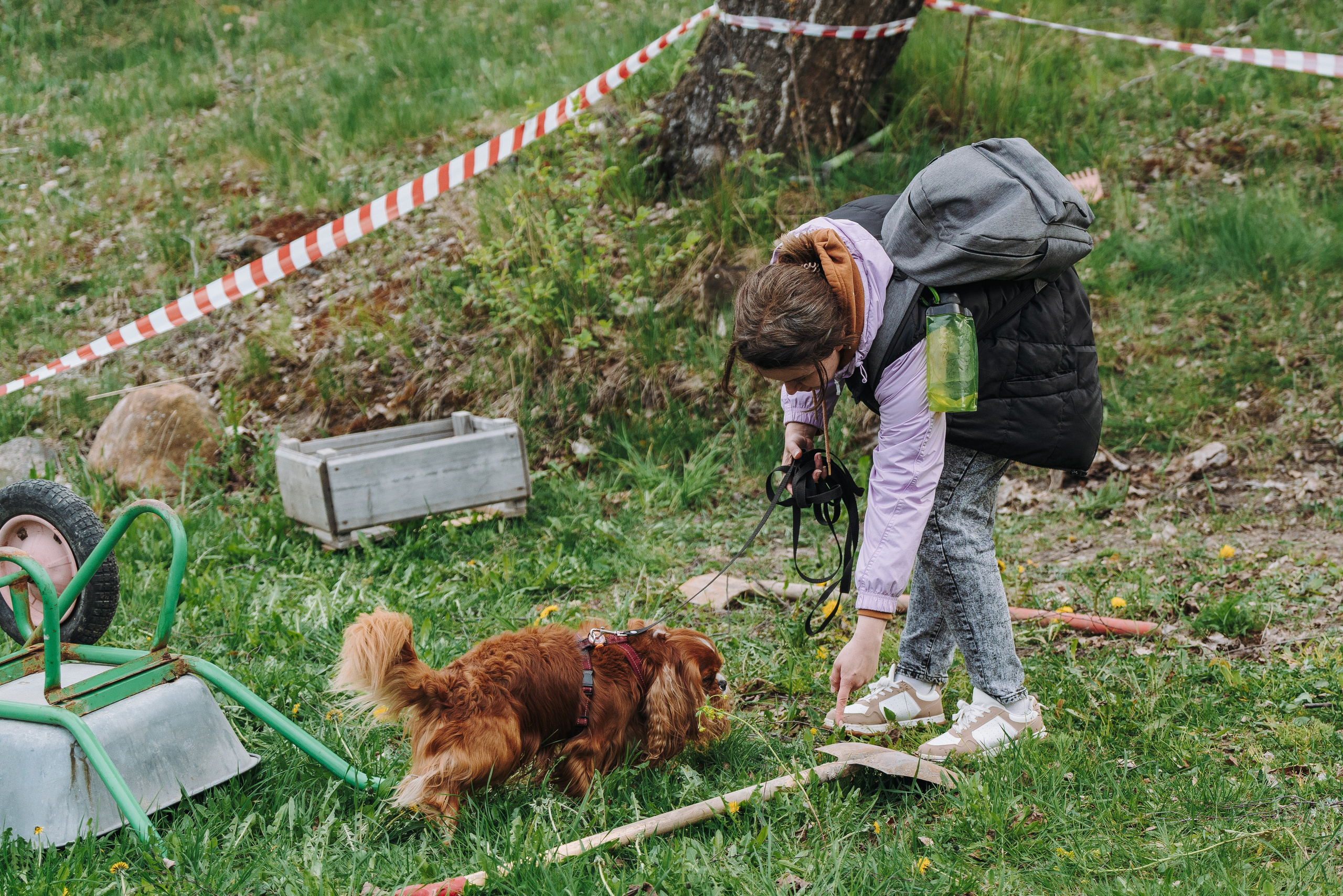 Соревнования по ноузворку в Лосево. Фотограф анималист в Спб недорого Олеся Майорова