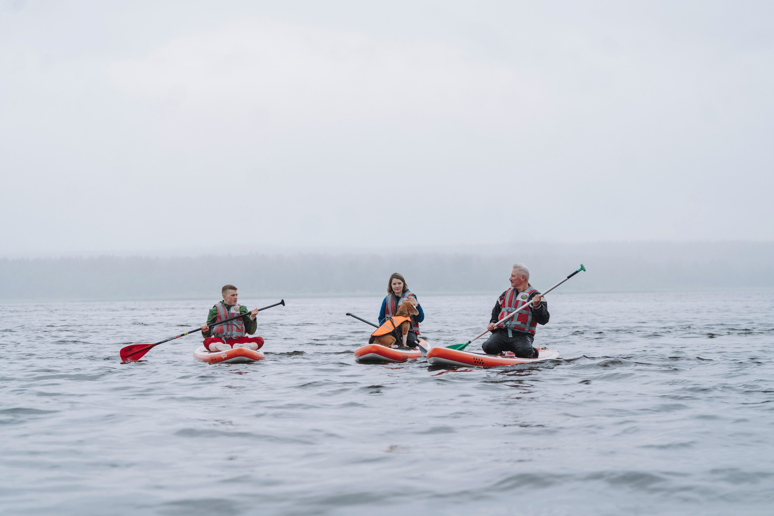 Катание на сапах с собаками. Фотограф анималист в Спб недорого Олеся Майорова