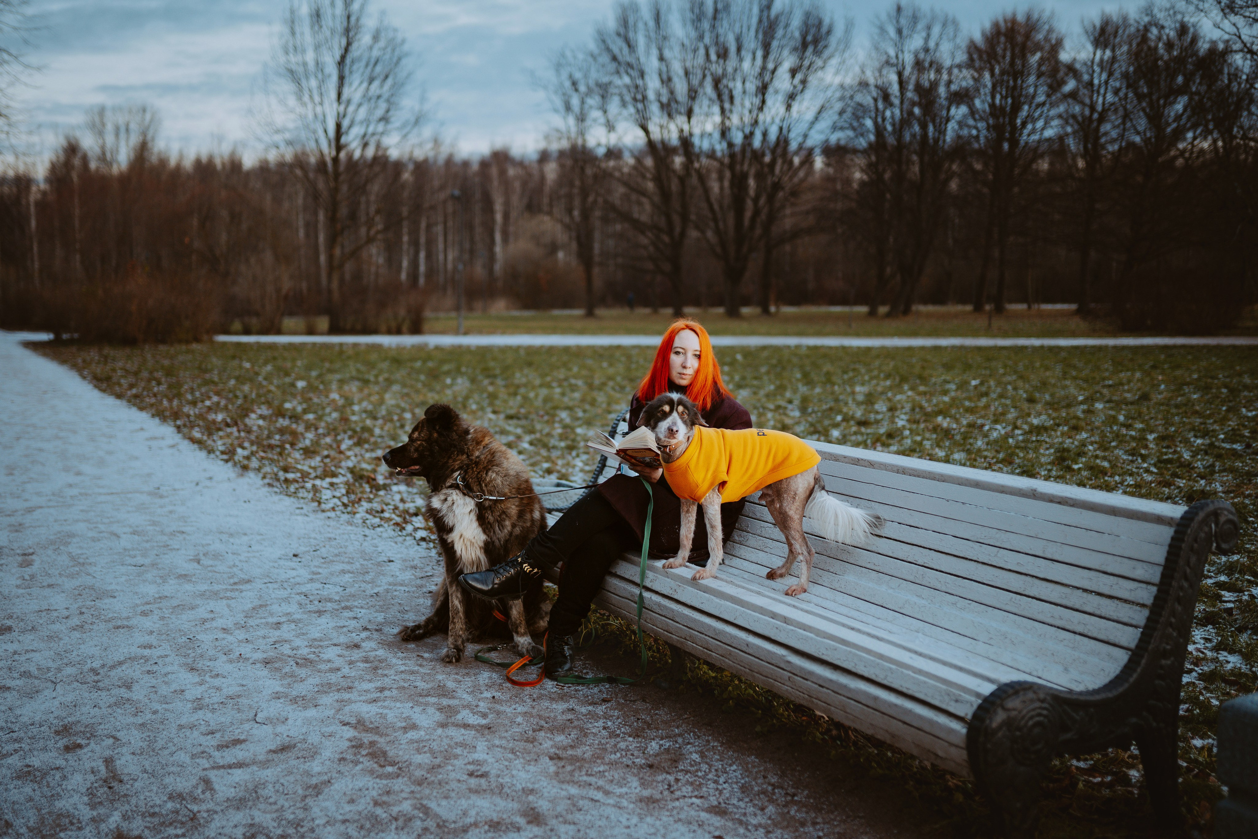 Творческая фотосессия фотографа анималиста. Фотограф анималист в Спб недорого Олеся Майорова