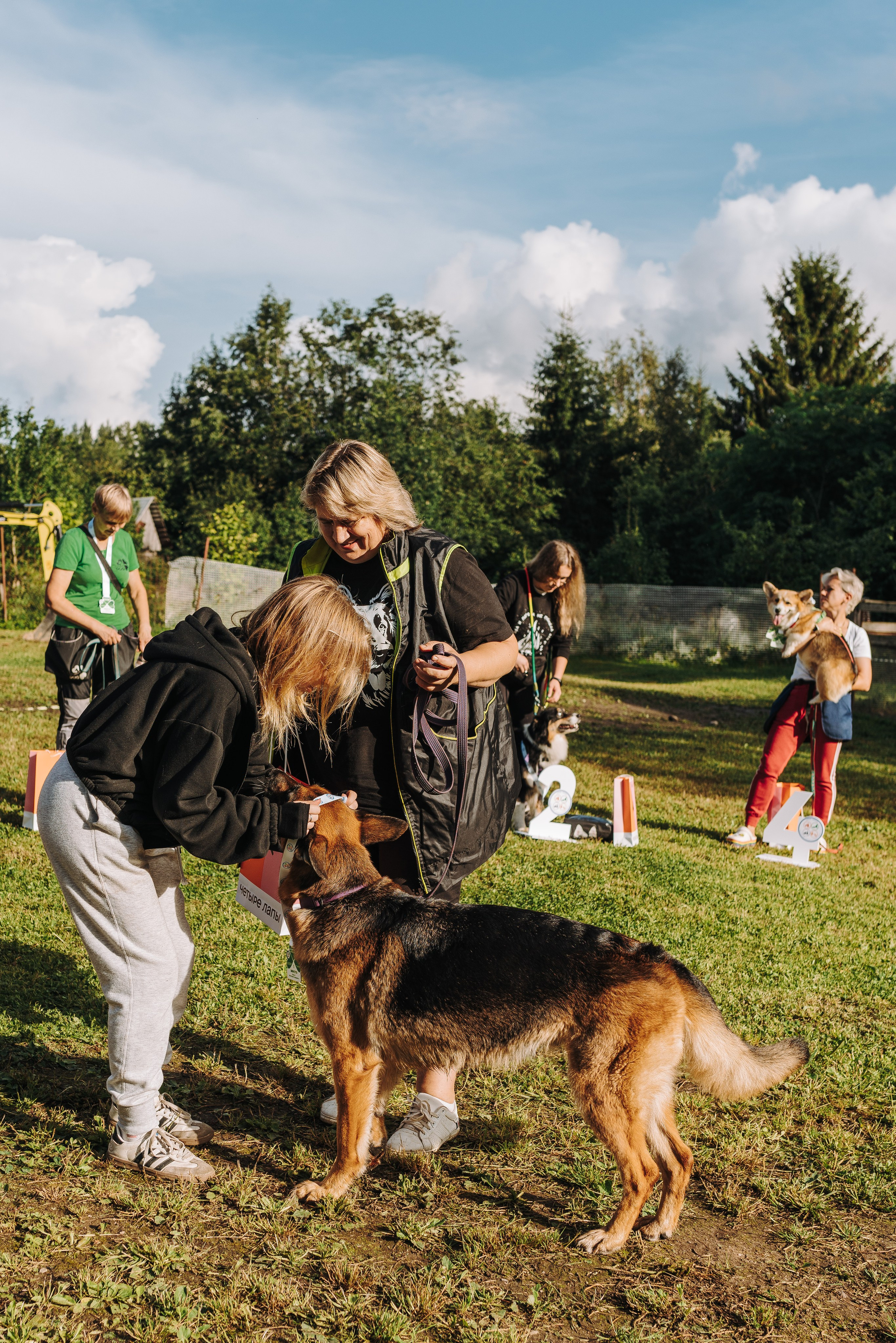 Соревнования по ноузворку в Новожилово. Фотограф анималист в Спб недорого Олеся Майорова