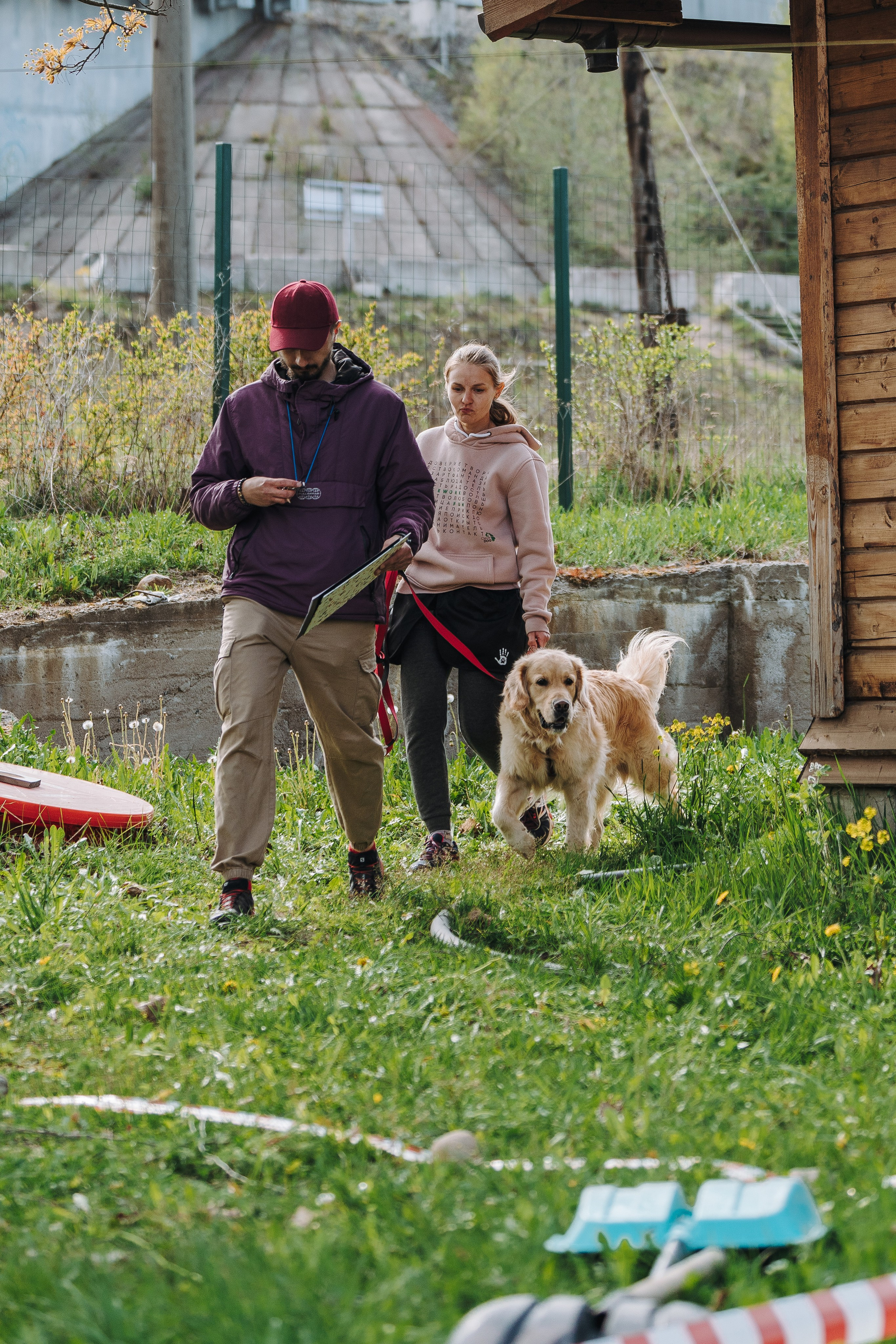 Соревнования по ноузворку в Лосево. Фотограф анималист в Спб недорого Олеся Майорова