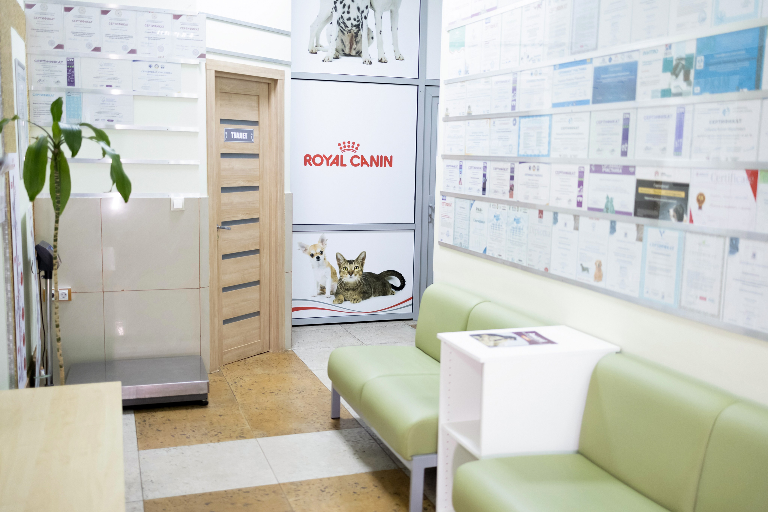 Ветеринарная клиника