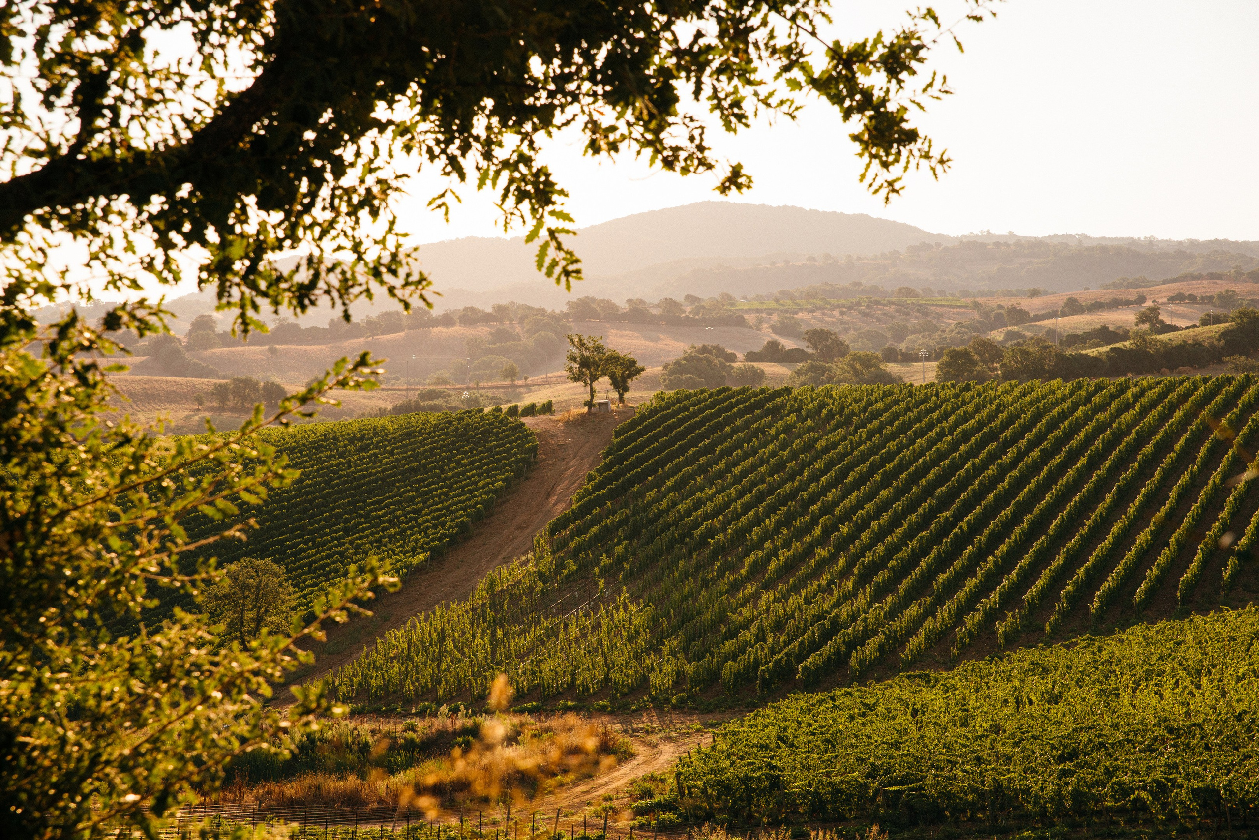 Фотографии Италии. Фотографии Дмитрия Захаренко