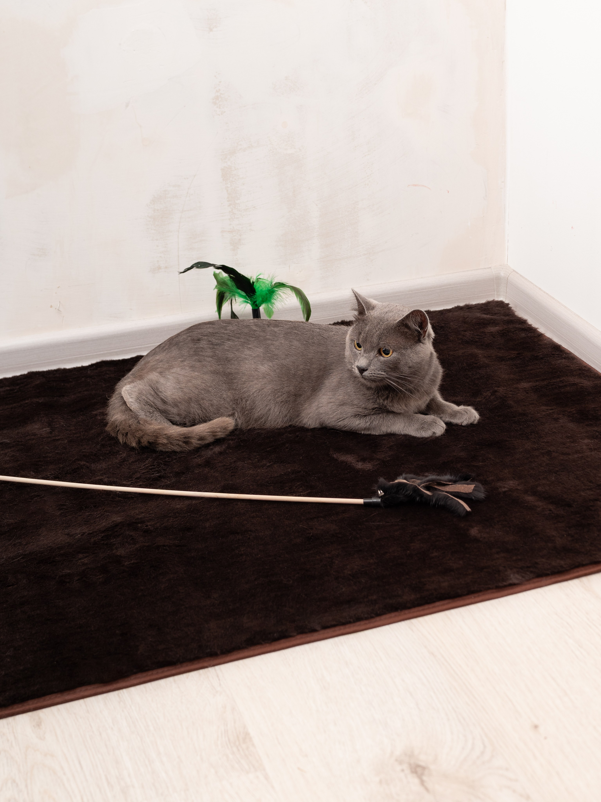 Коврики для дома. Предметный фотограф, фото для маркетплейсов Пятигорск, КМВ