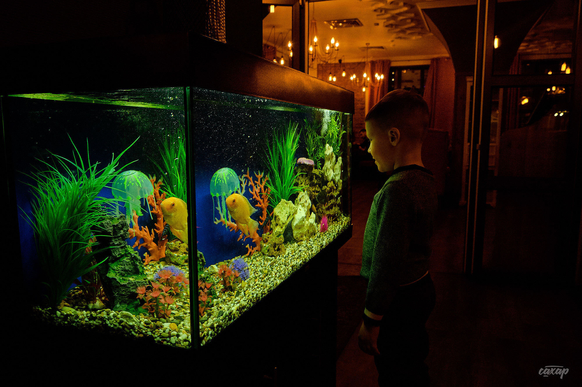 Банкет в Оджах. Профессиональный фотограф в Екатеринбурге Юра Сахар