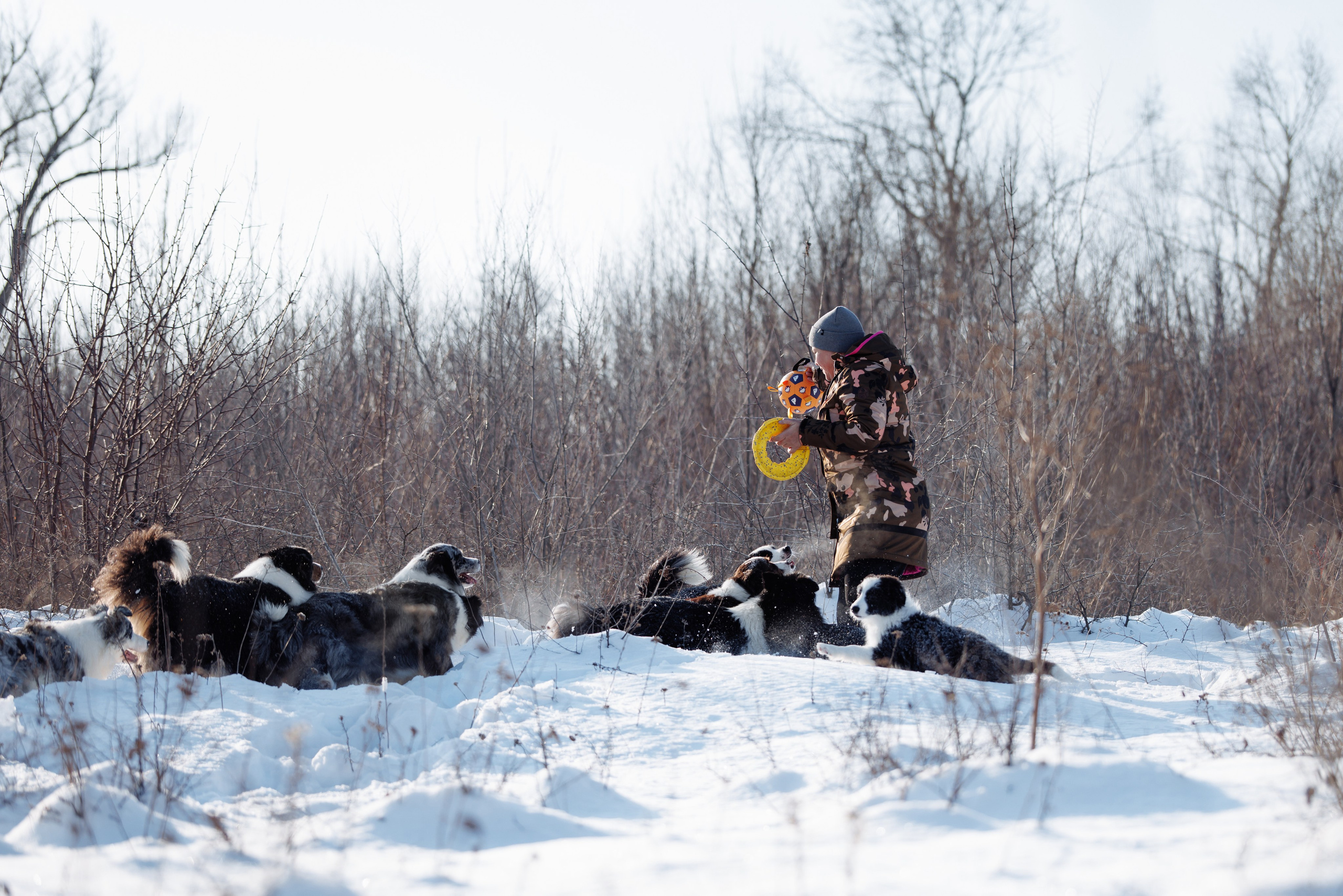 Яркий январь. О нас