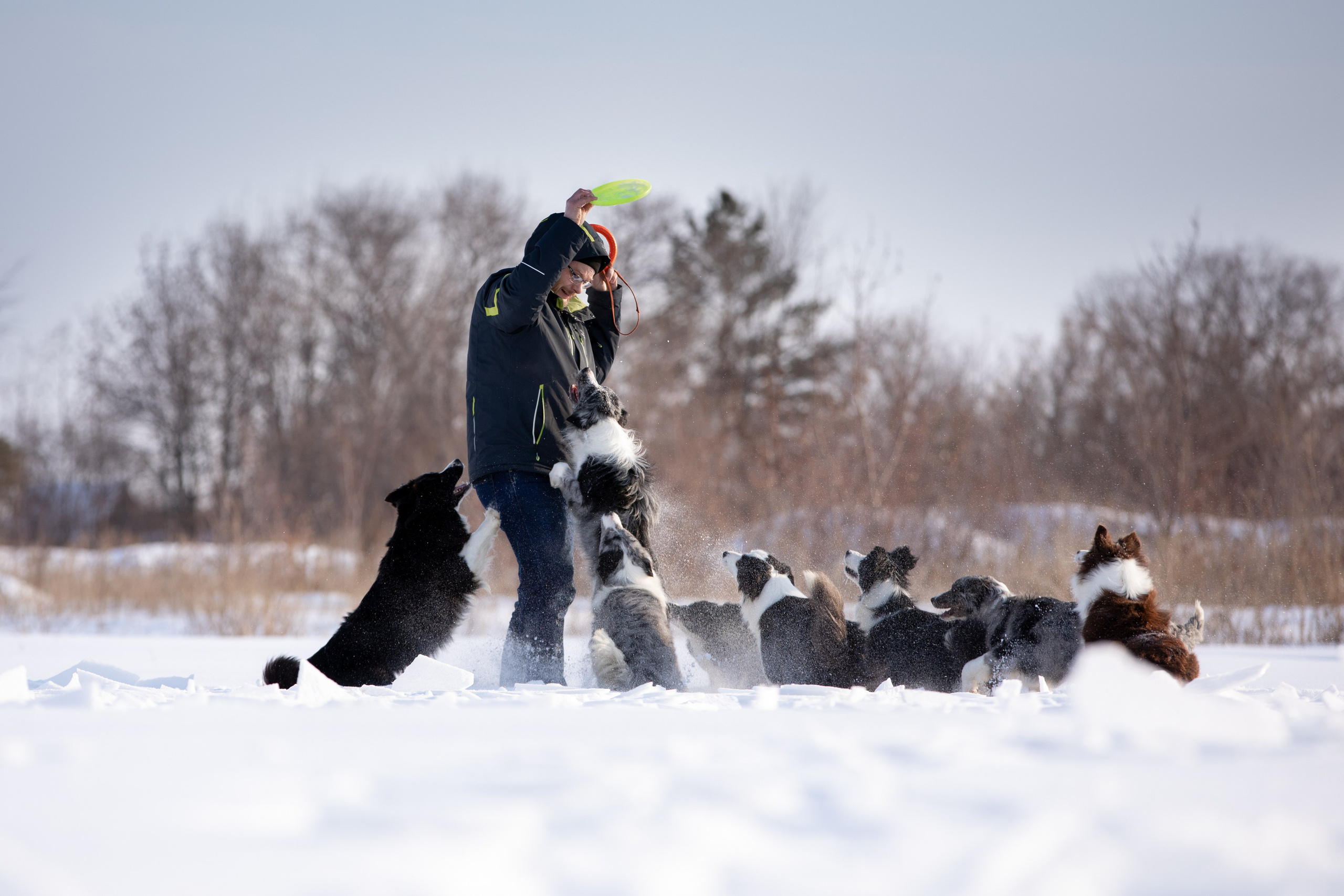 Мороз и солнце. О нас