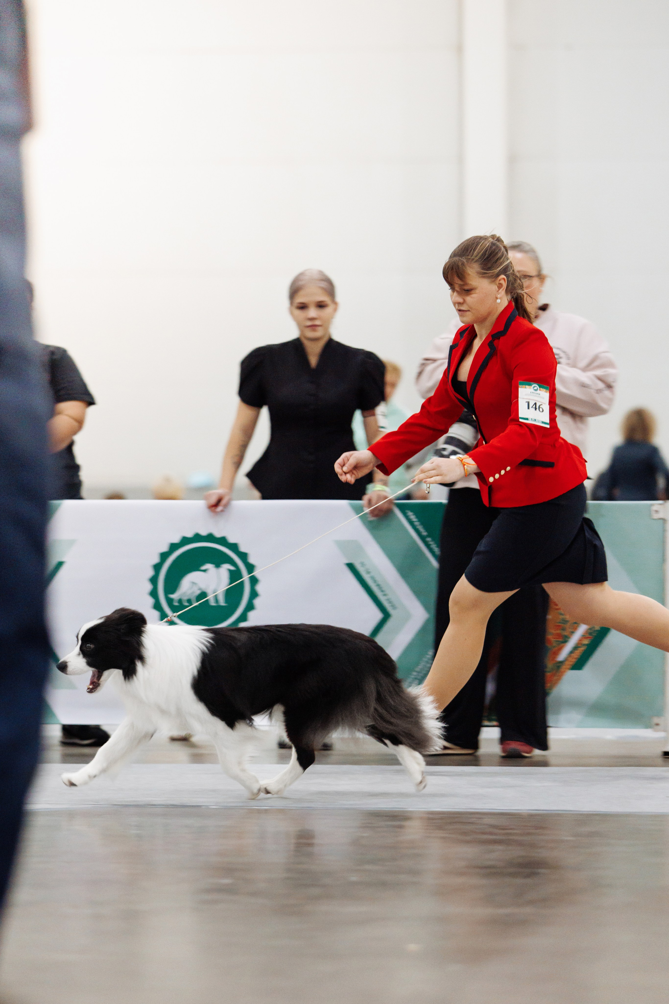 Евразия 25. О нас