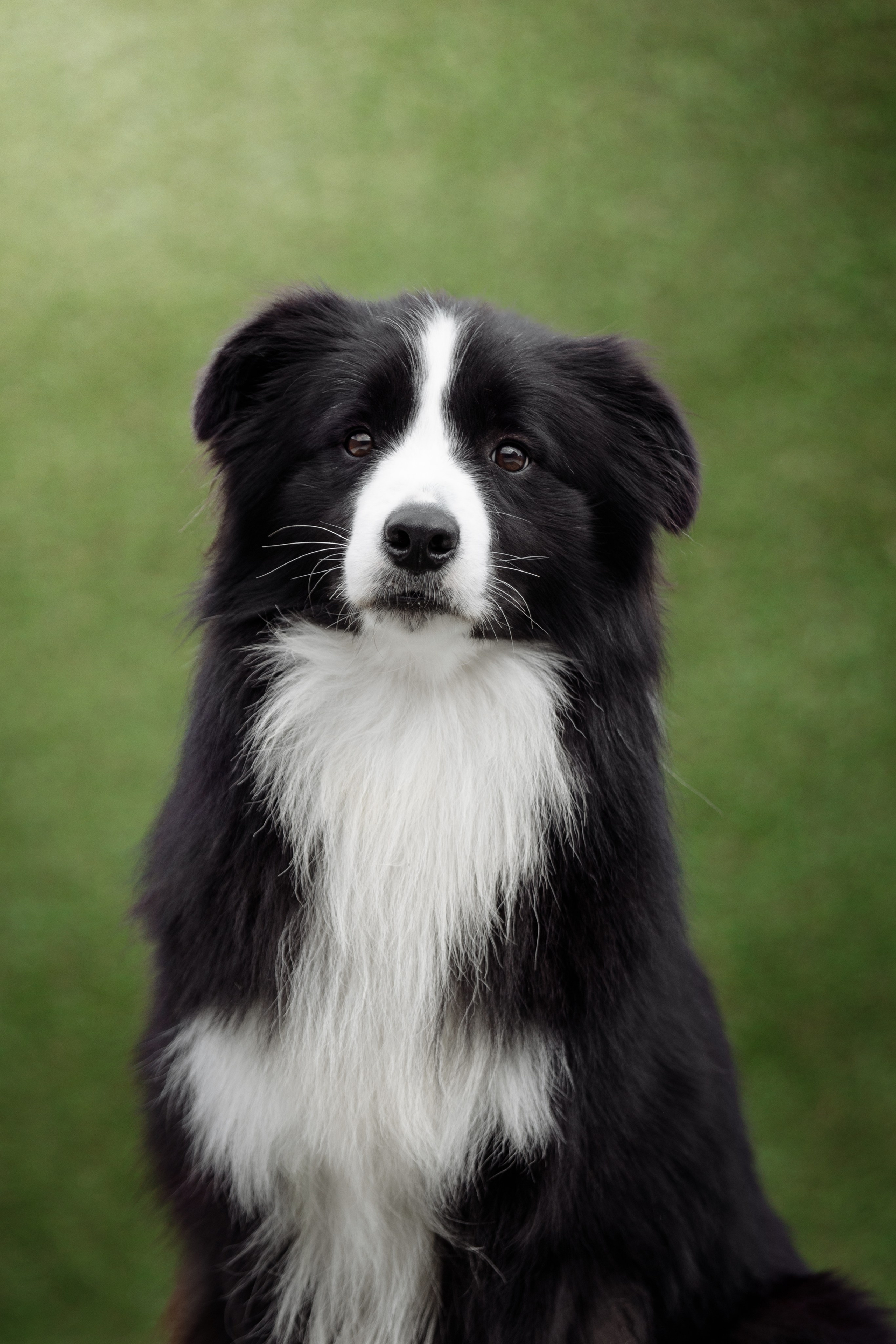 Свое место. О нас