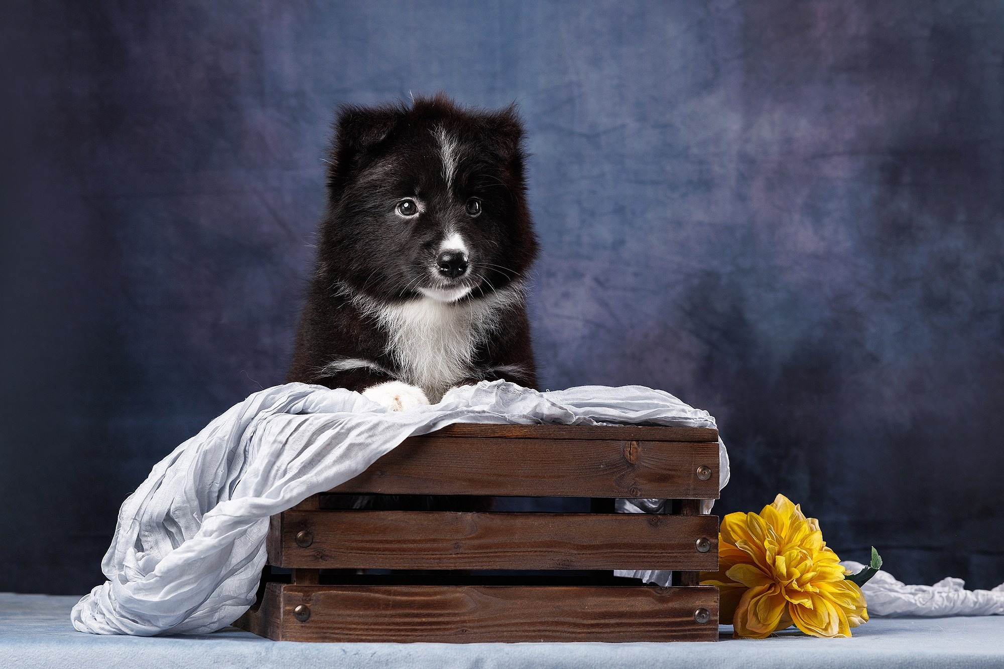 На водной основе. О нас