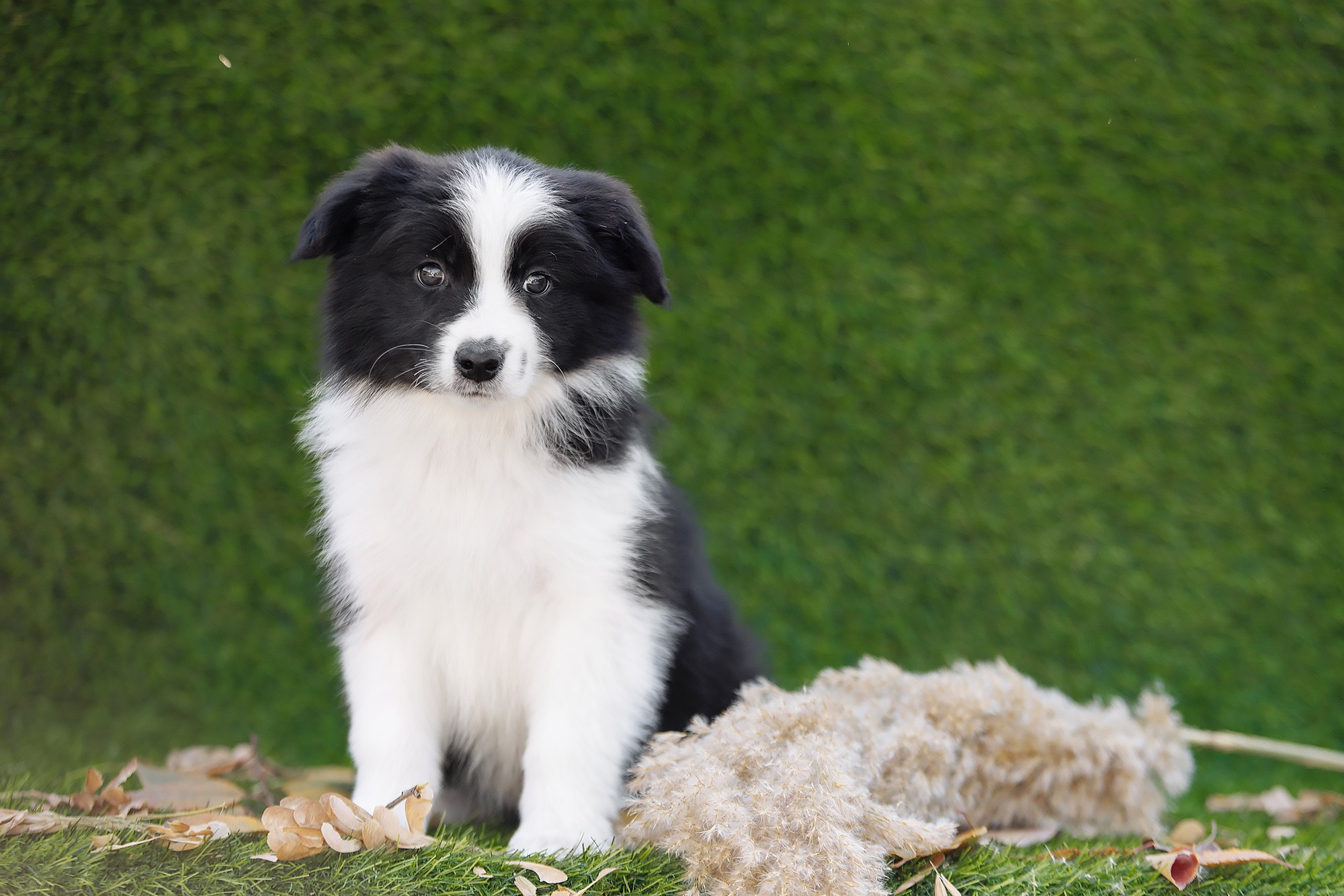 Новый лист. О нас