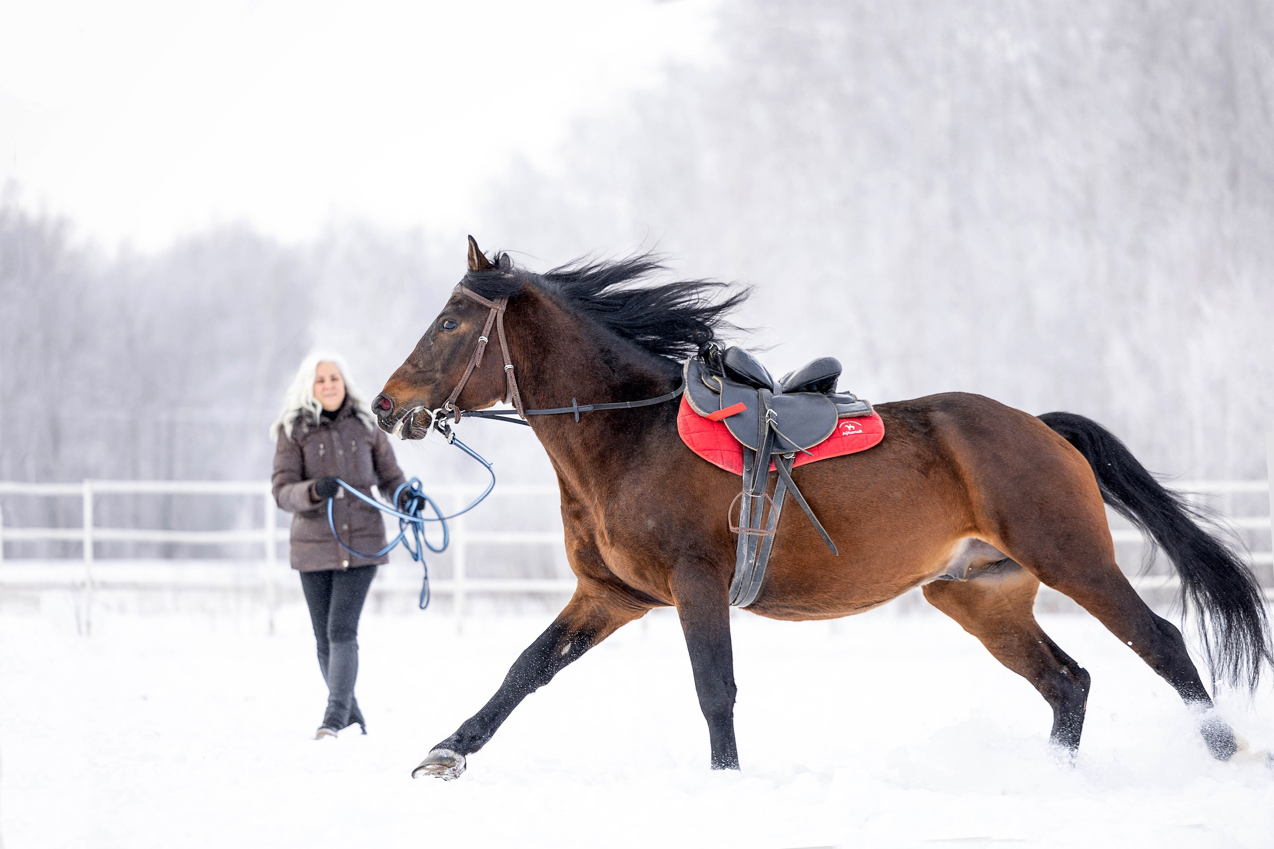 Репотражная съёмка. Фотограф-анималист в Омске Екатерина Маричева
