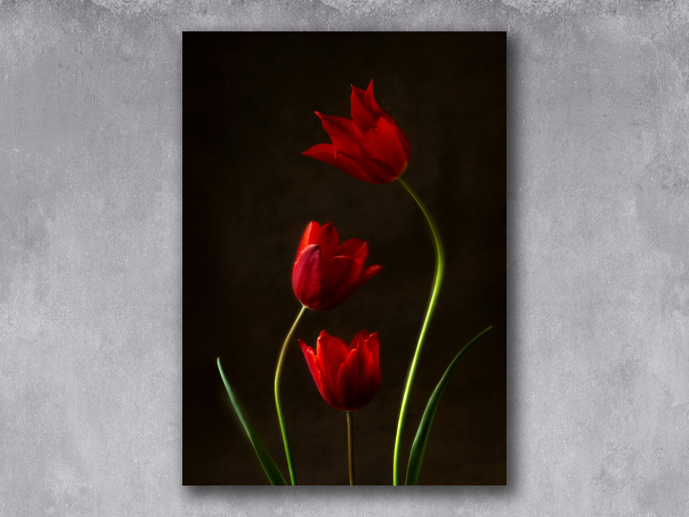 Pas de Trois. Author’s fine art prints with international delivery