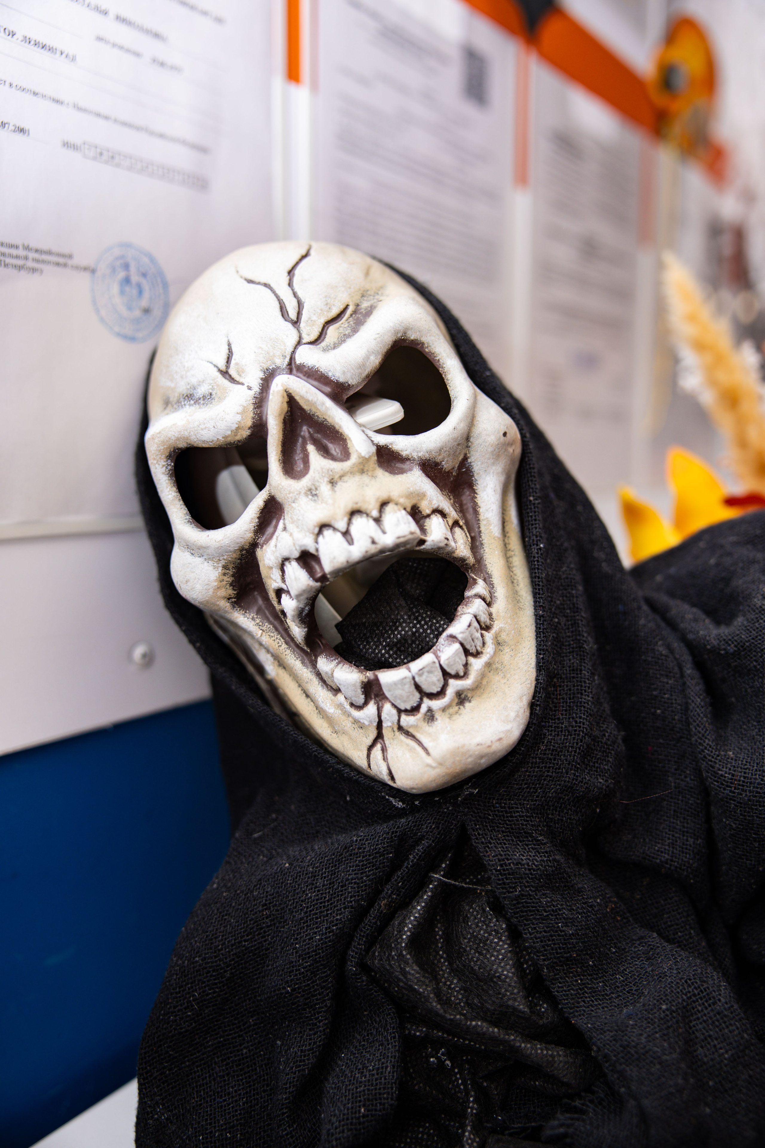 Хеллоуин в школе. Фотограф/видеограф в Санкт-Петербурге Динара Гольдина