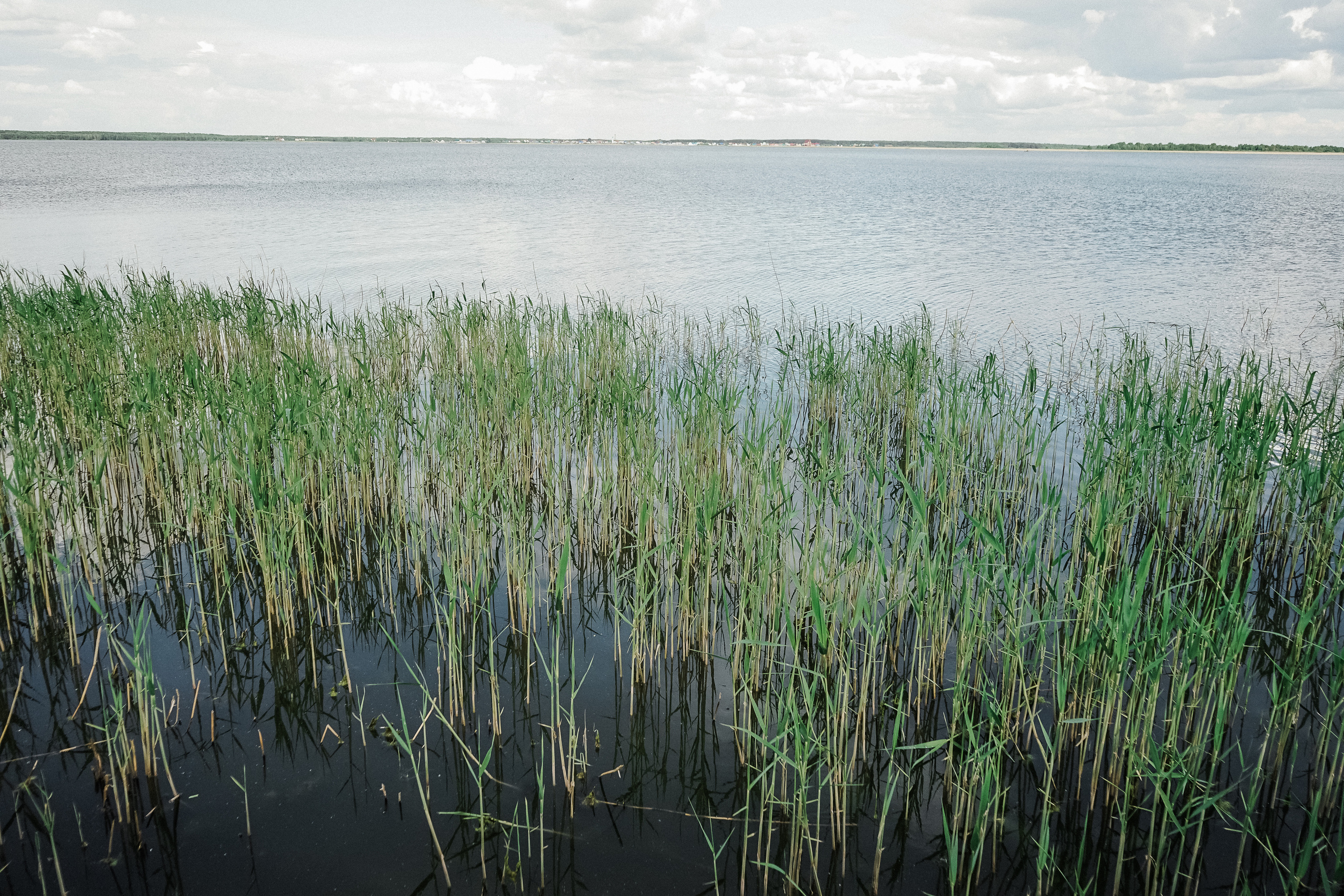 Ostrov-SKY. Свадебный фотограф AllexD в Москве, Санкт-Петербурге