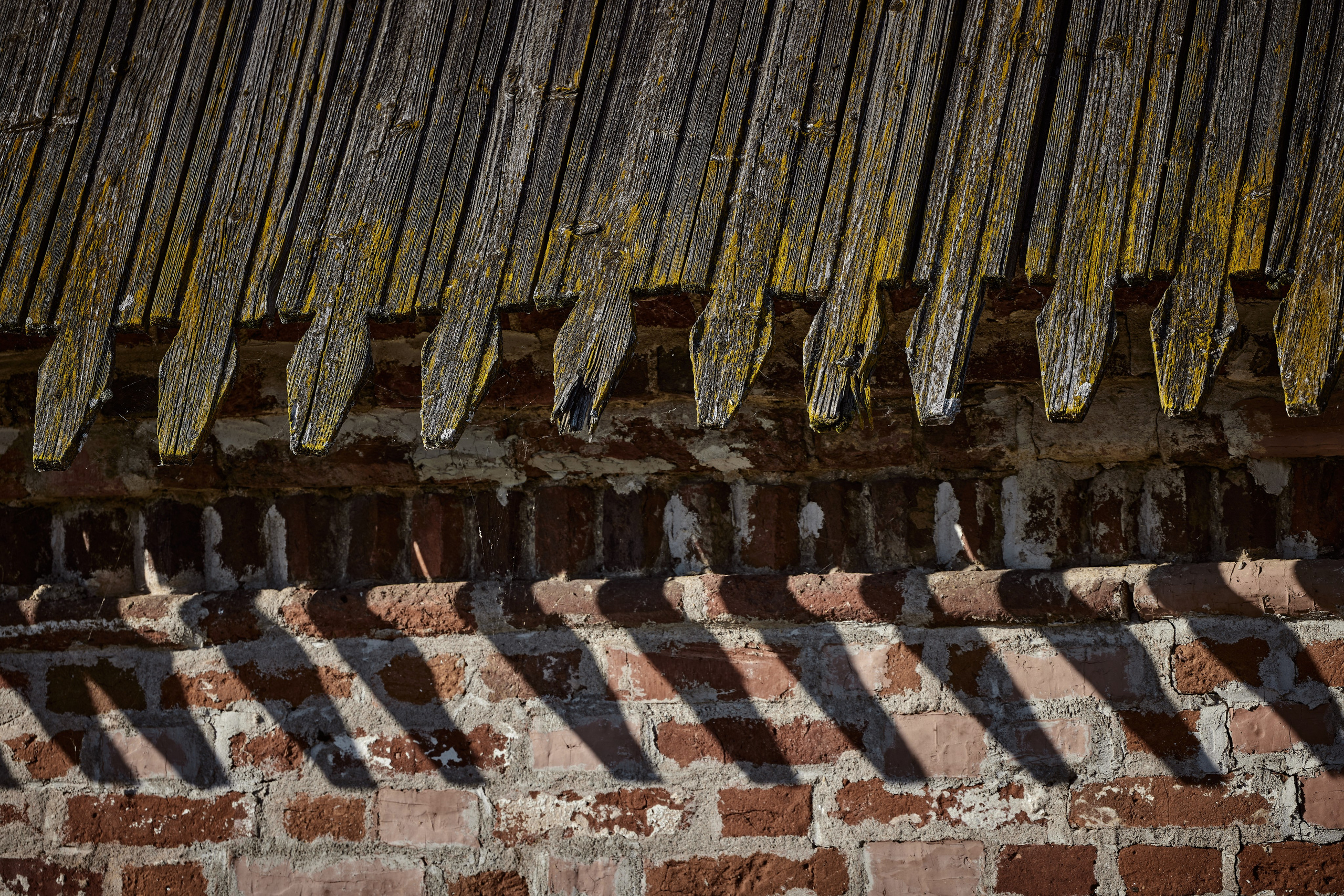 Ростов Великий. Aleksandr Kobtsev