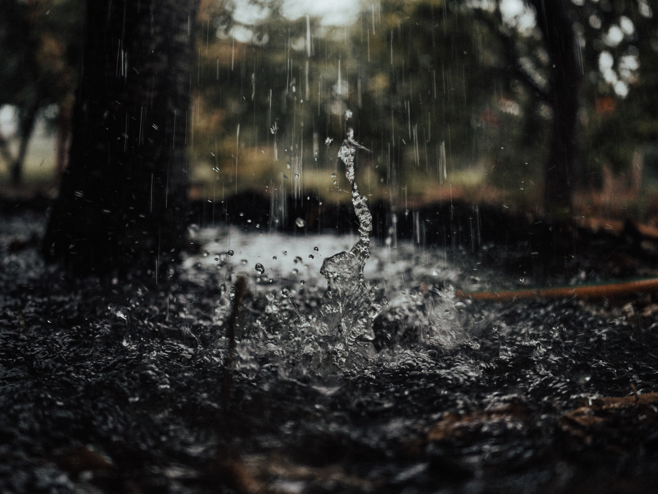 Life.Style.Love. Выпускные альбомы Edi ART