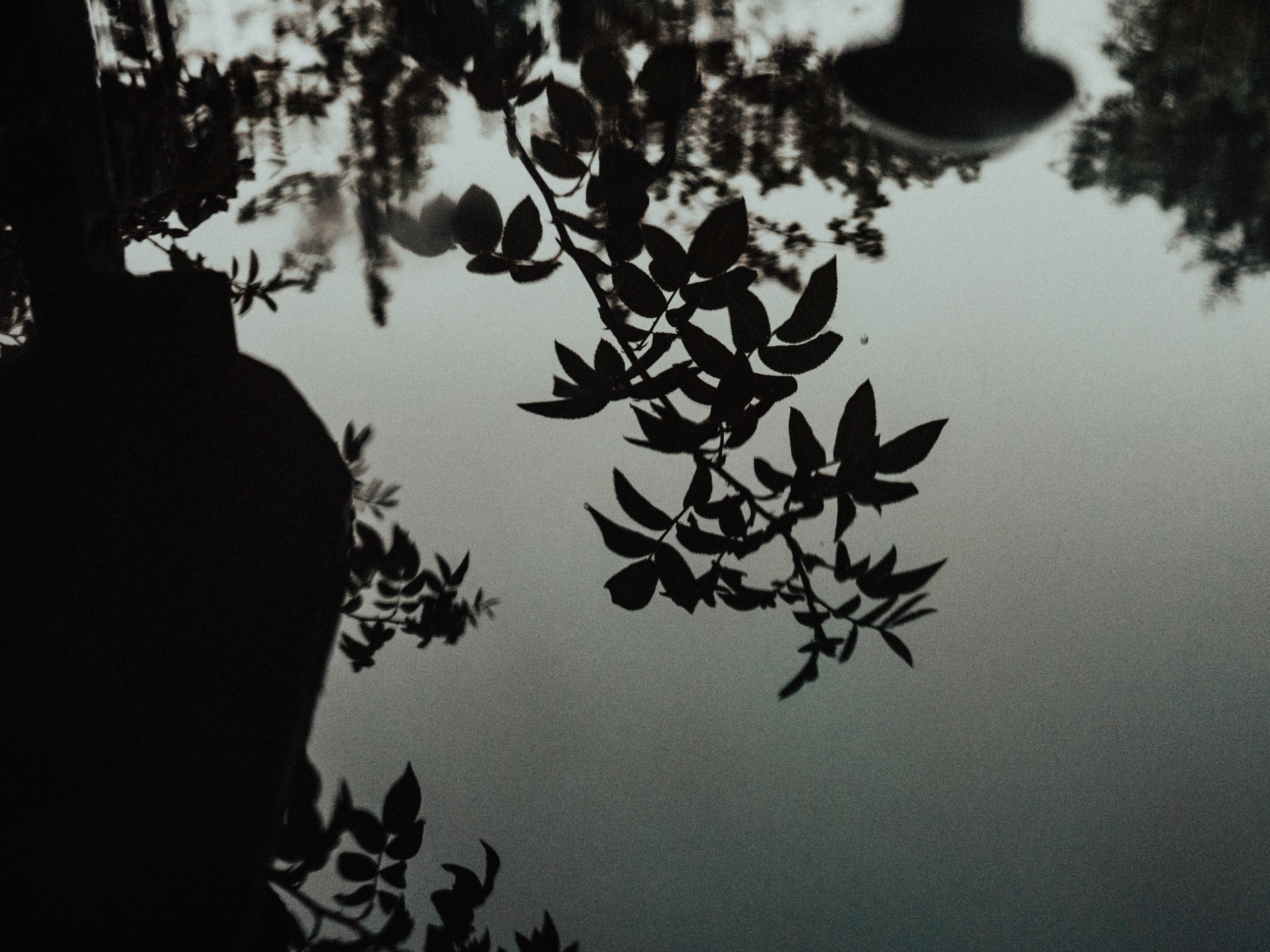 Life.Style.Love. Выпускные альбомы Edi ART