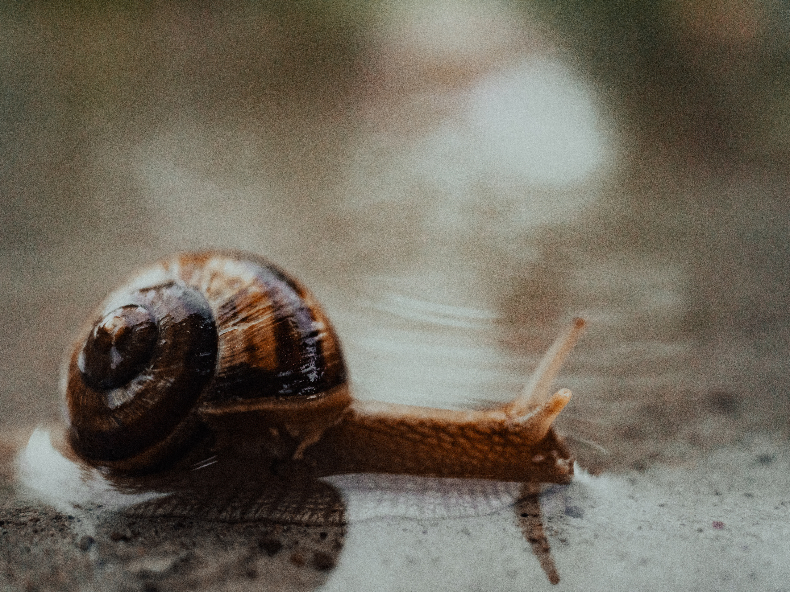 Life.Style.Love. Выпускные альбомы Edi ART