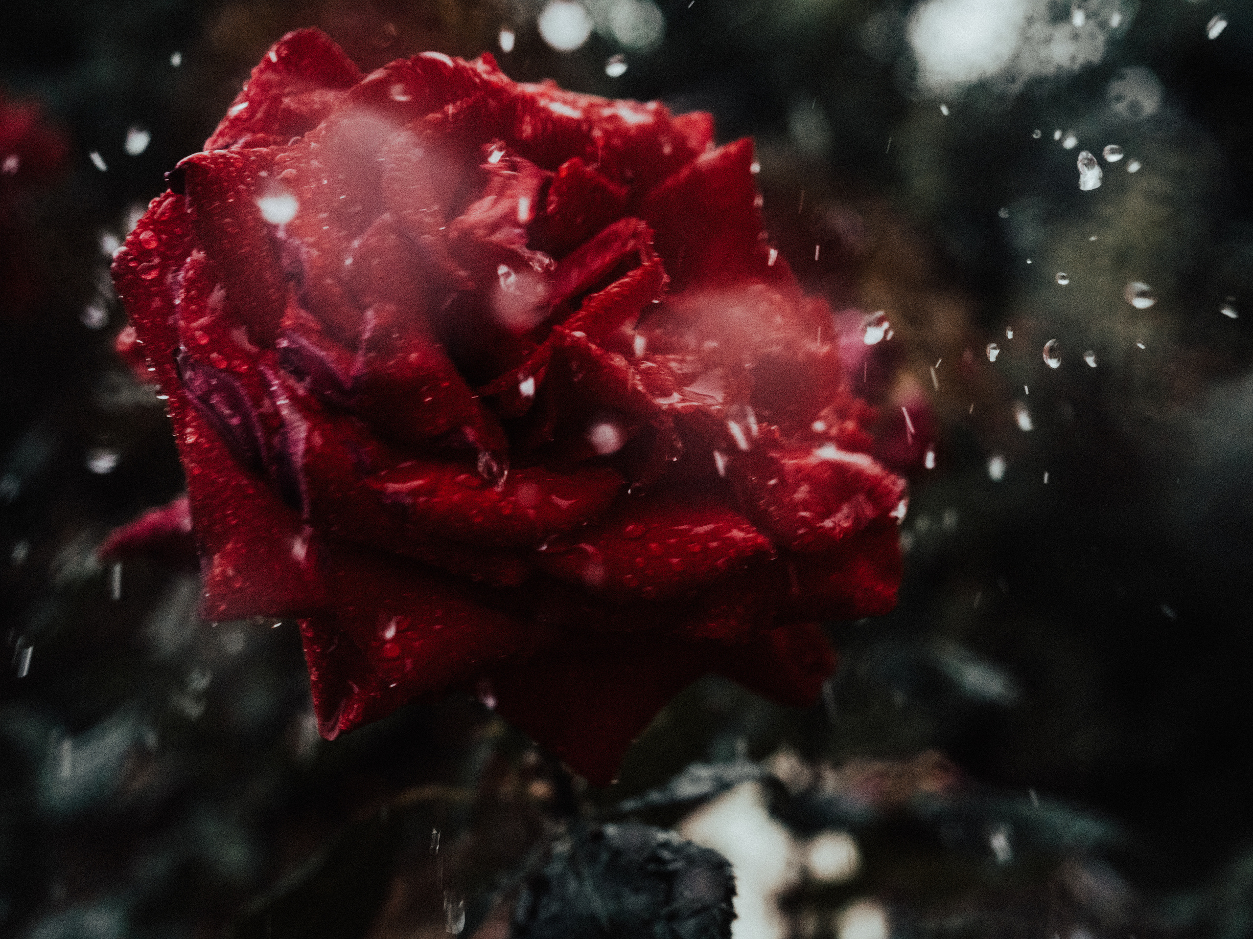 Life.Style.Love. Выпускные альбомы Edi ART