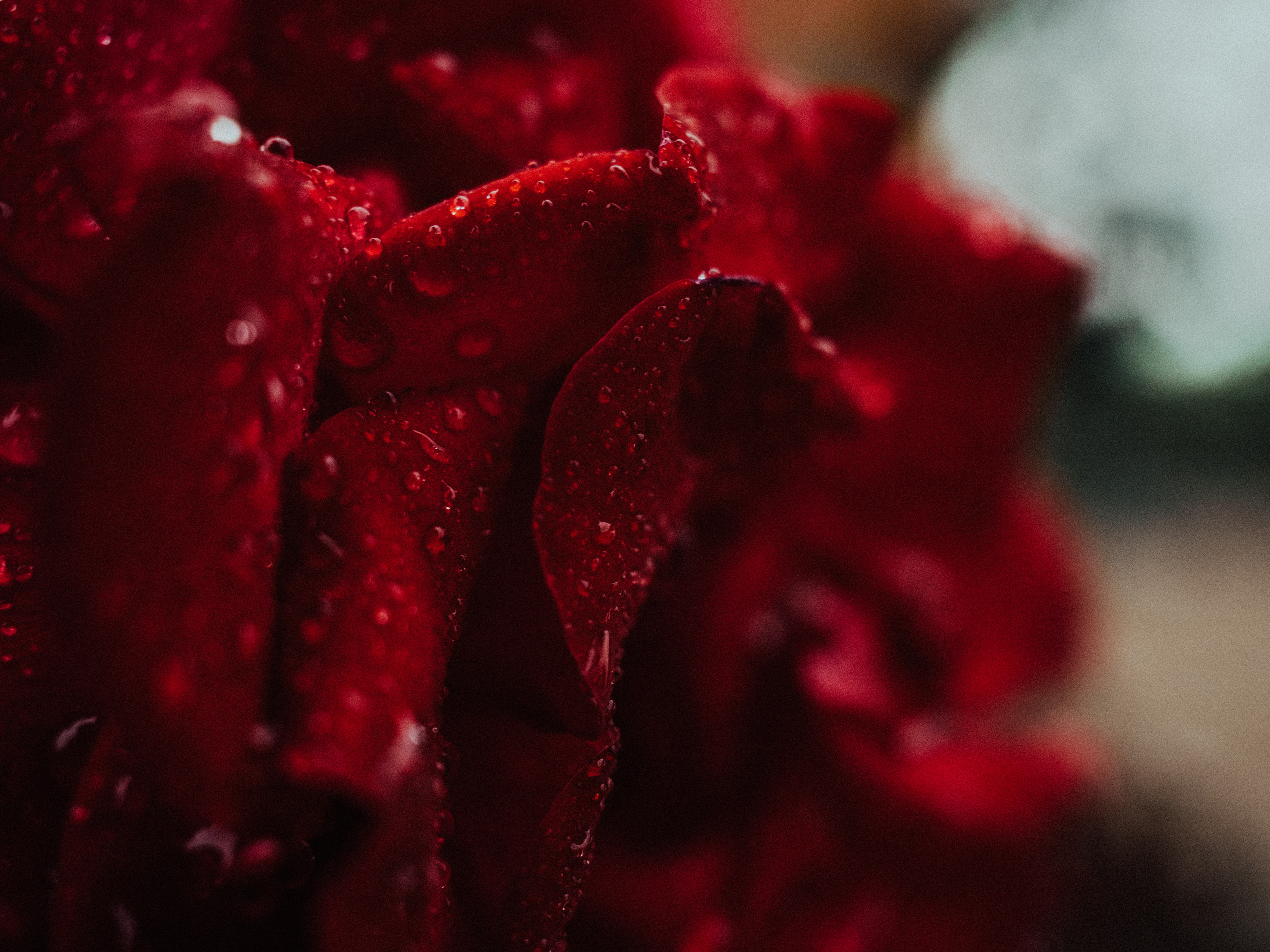 Life.Style.Love. Выпускные альбомы Edi ART