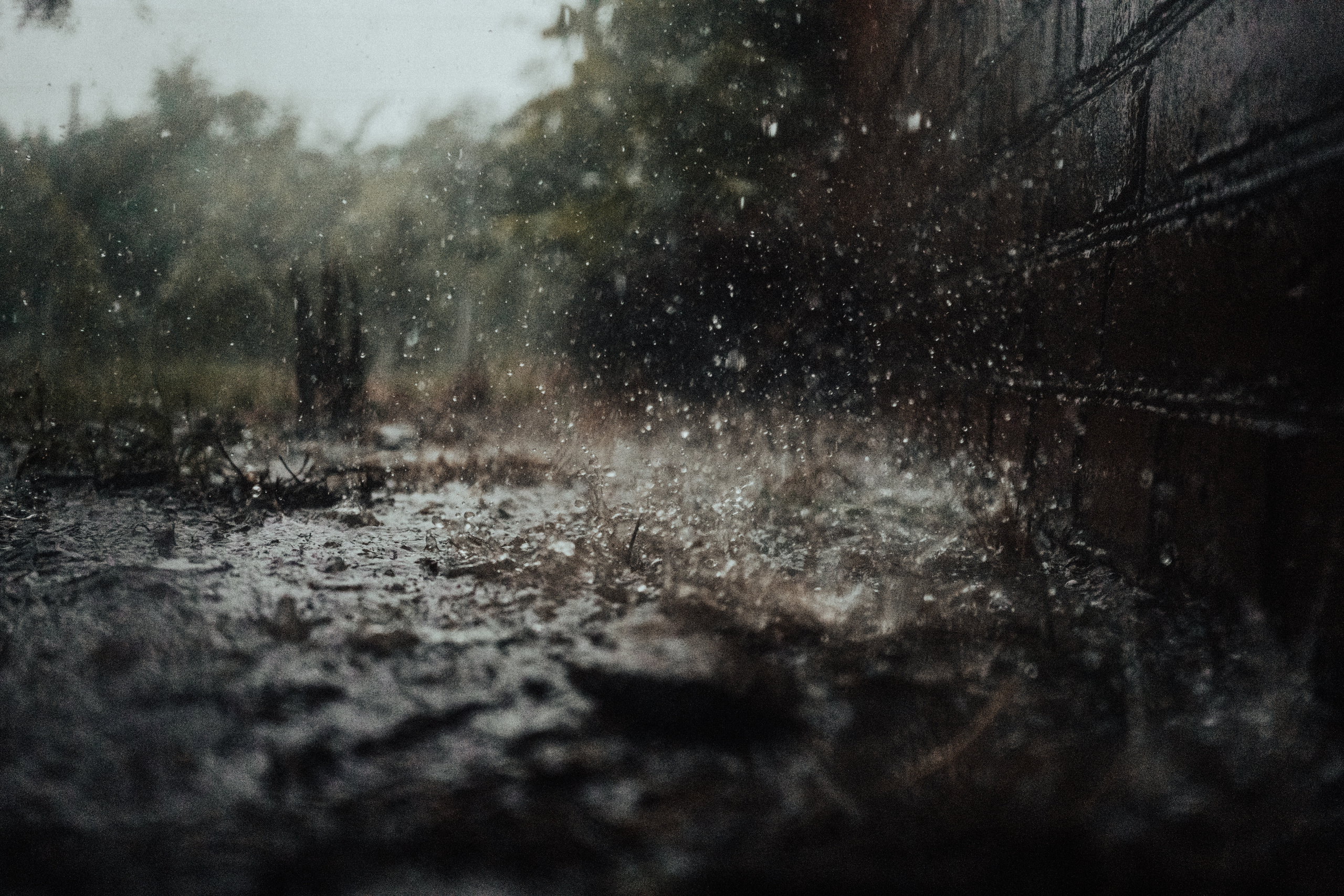 Life.Style.Love. Выпускные альбомы Edi ART