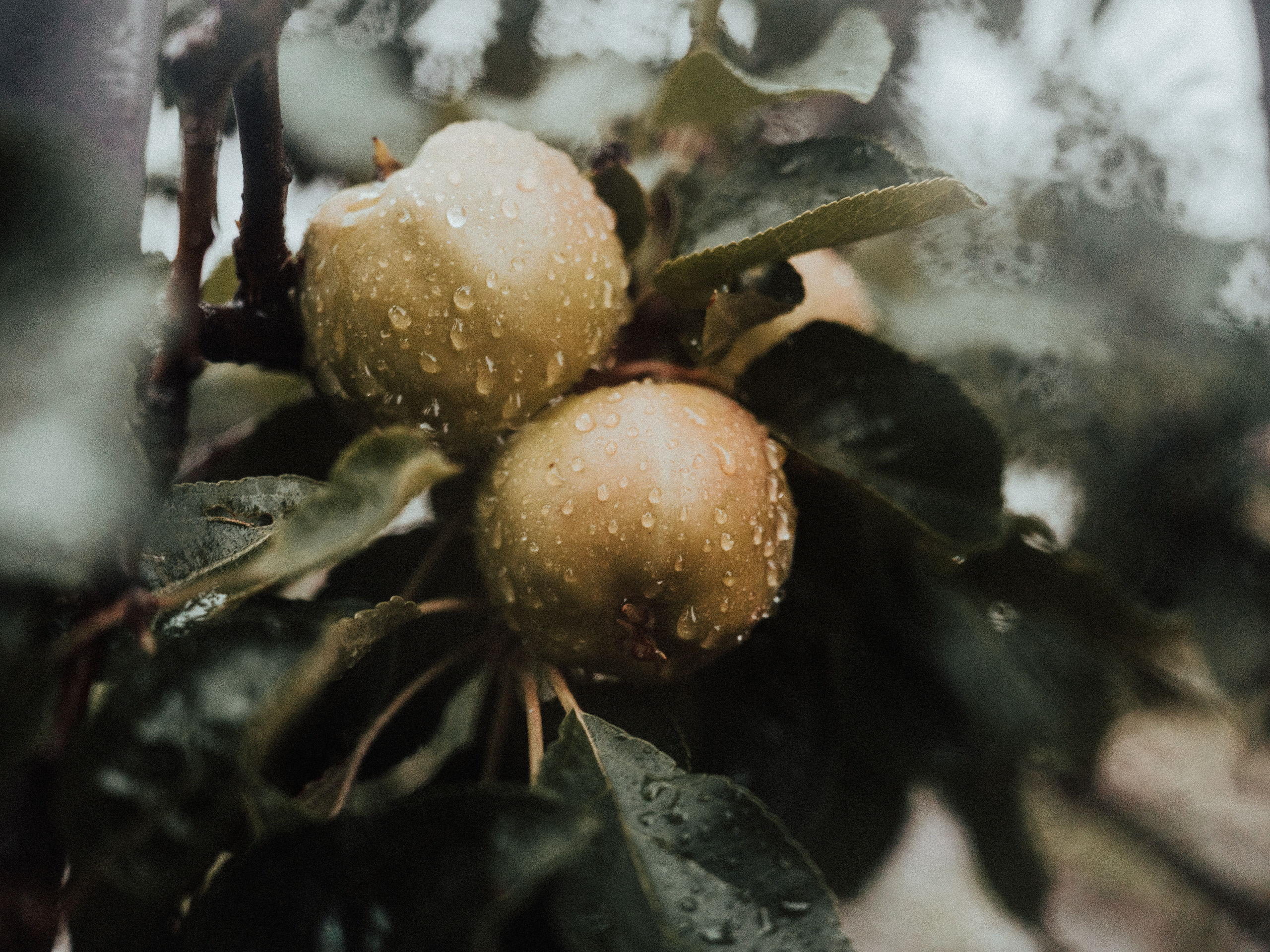 Life.Style.Love. Выпускные альбомы Edi ART