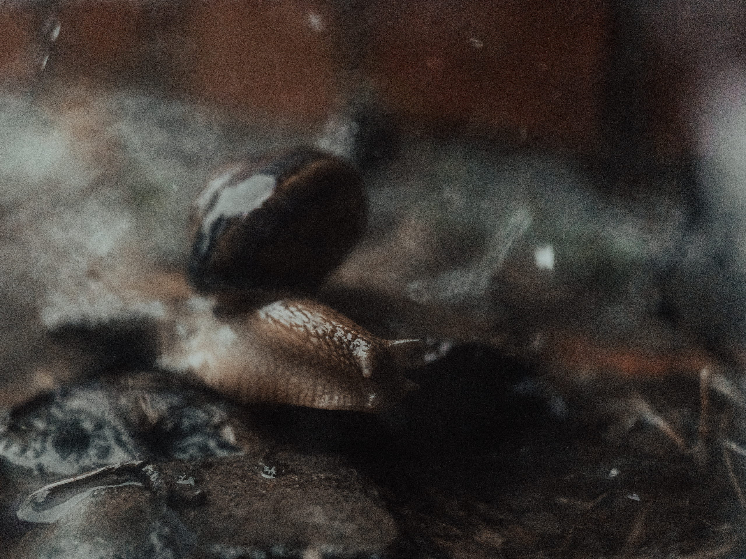 Life.Style.Love. Выпускные альбомы Edi ART