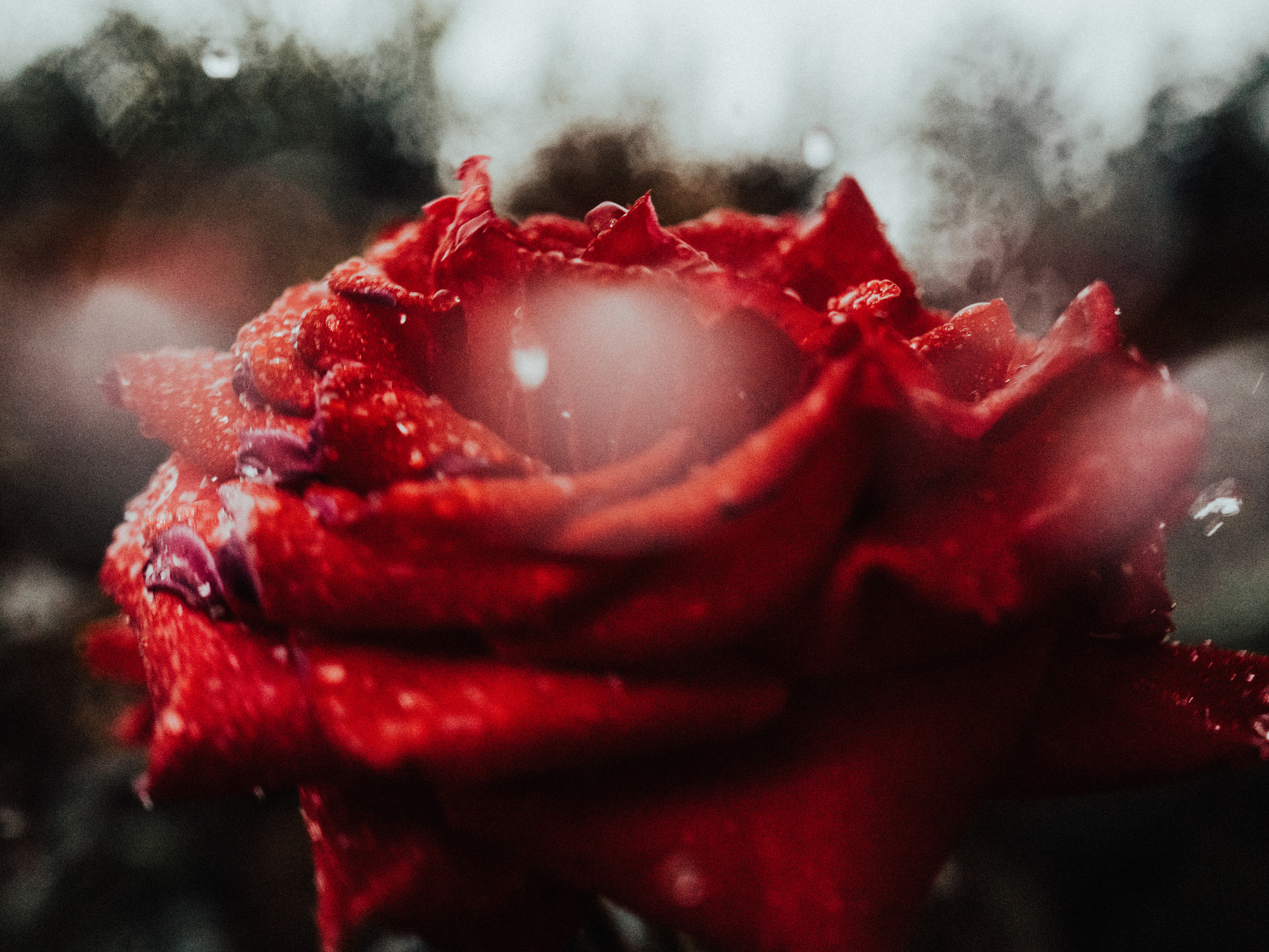 Life.Style.Love. Выпускные альбомы Edi ART