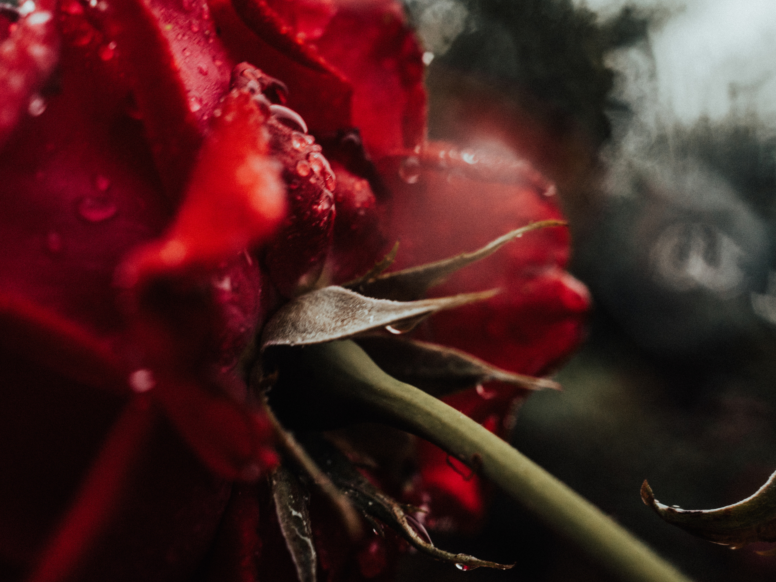 Life.Style.Love. Выпускные альбомы Edi ART