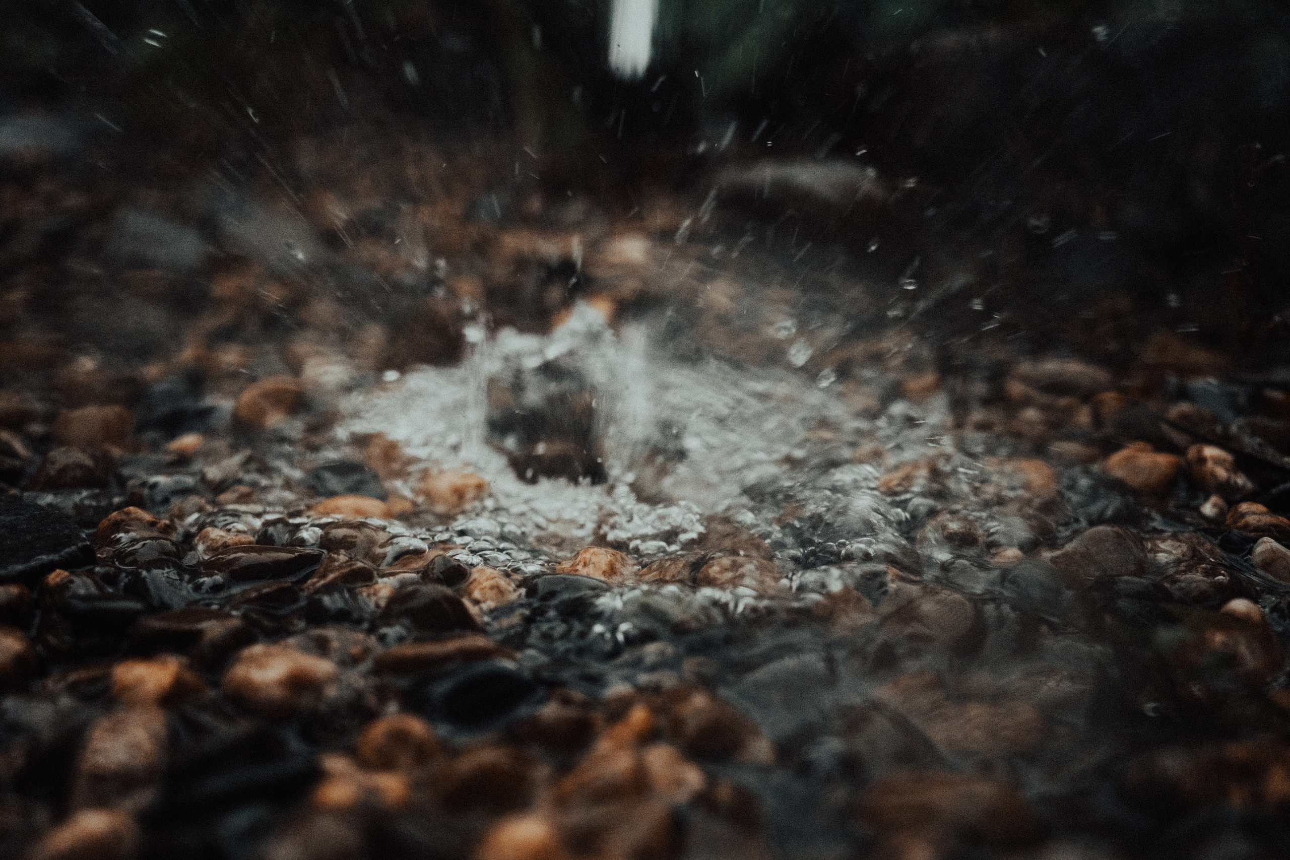 Life.Style.Love. Выпускные альбомы Edi ART