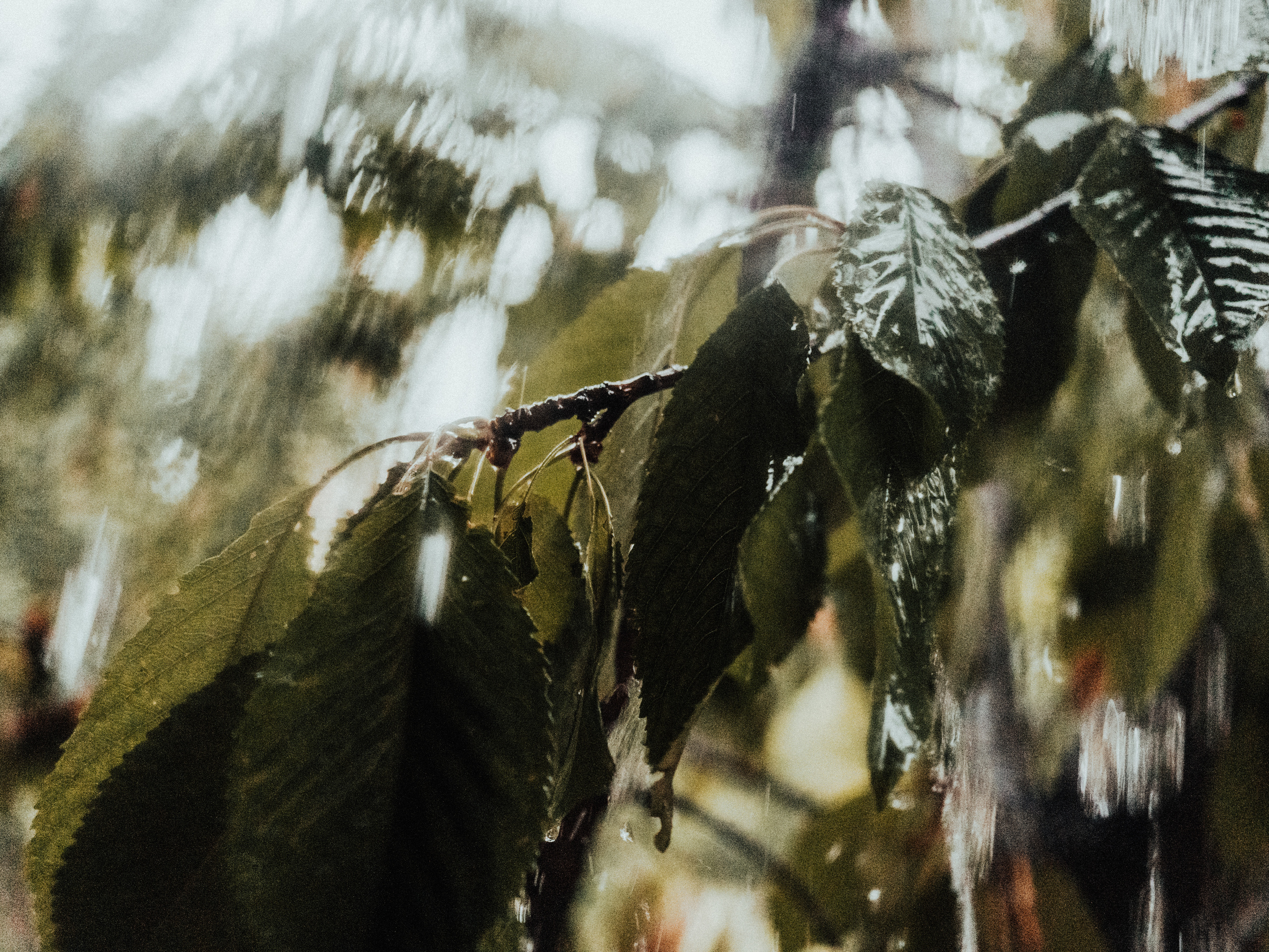 Life.Style.Love. Выпускные альбомы Edi ART