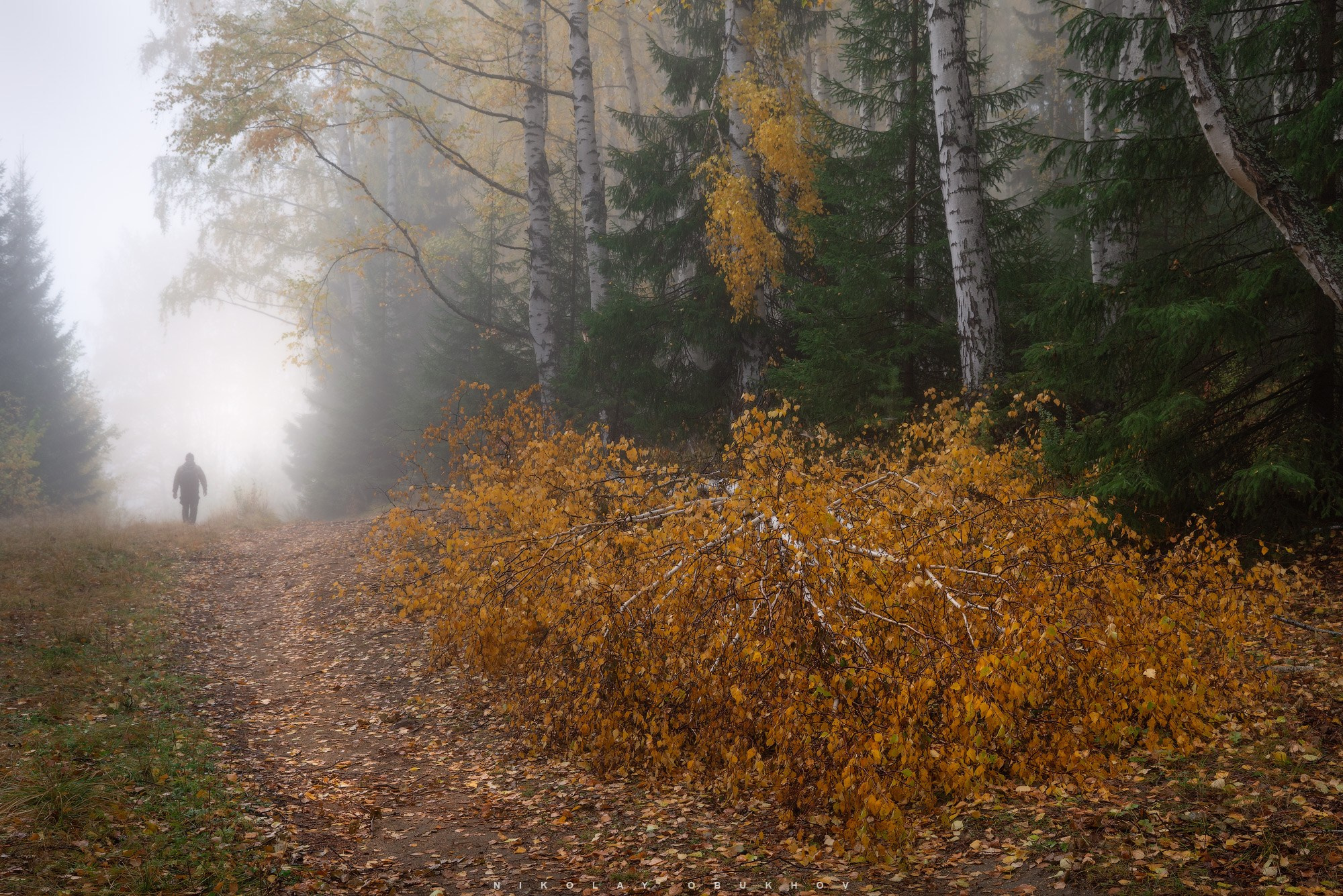 Природа Урала в осеннем настроении — туман, яркие листва и силуэт человека на тропе у Черноисточинска.