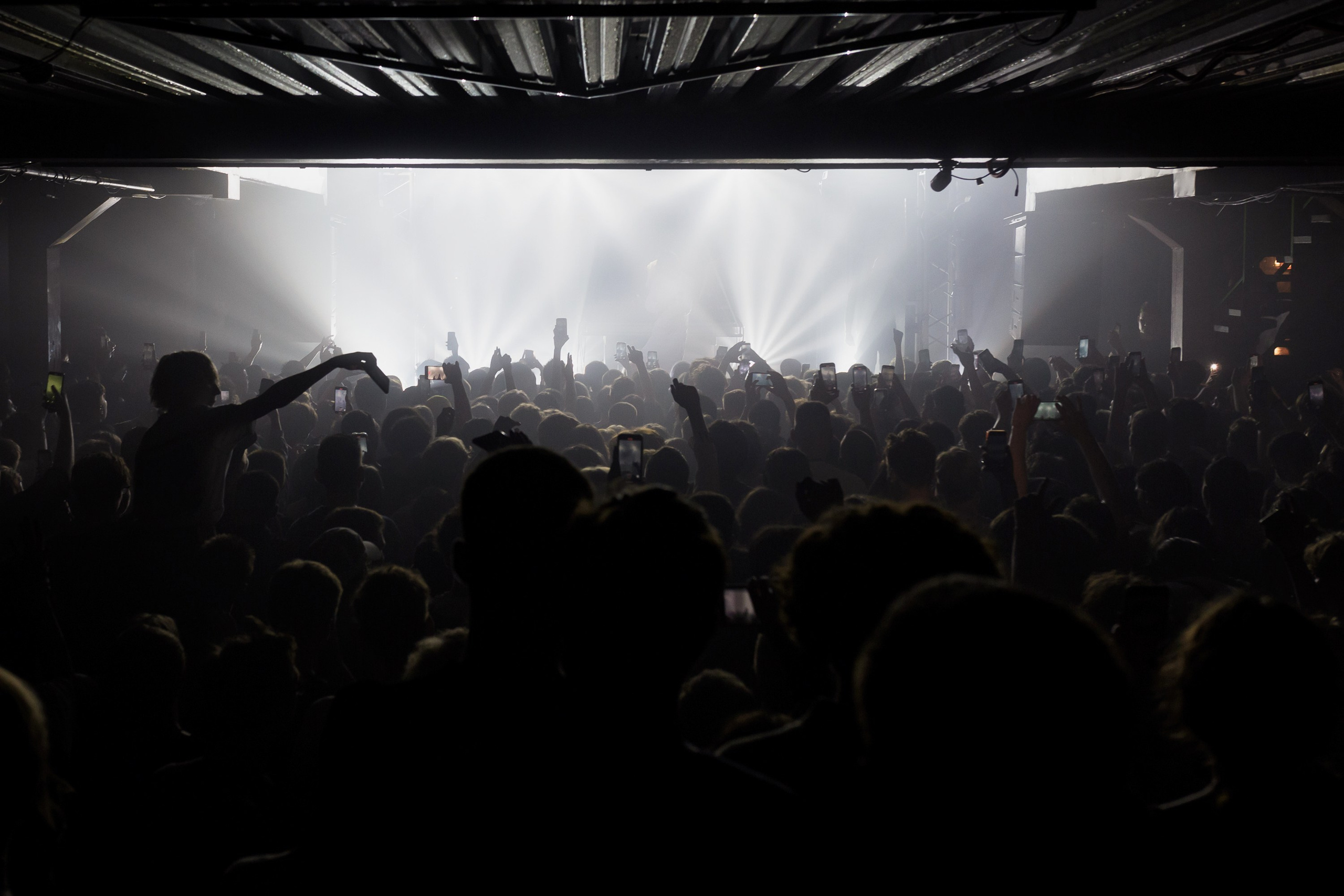 КОНЦЕРТЫ. Roman Photo