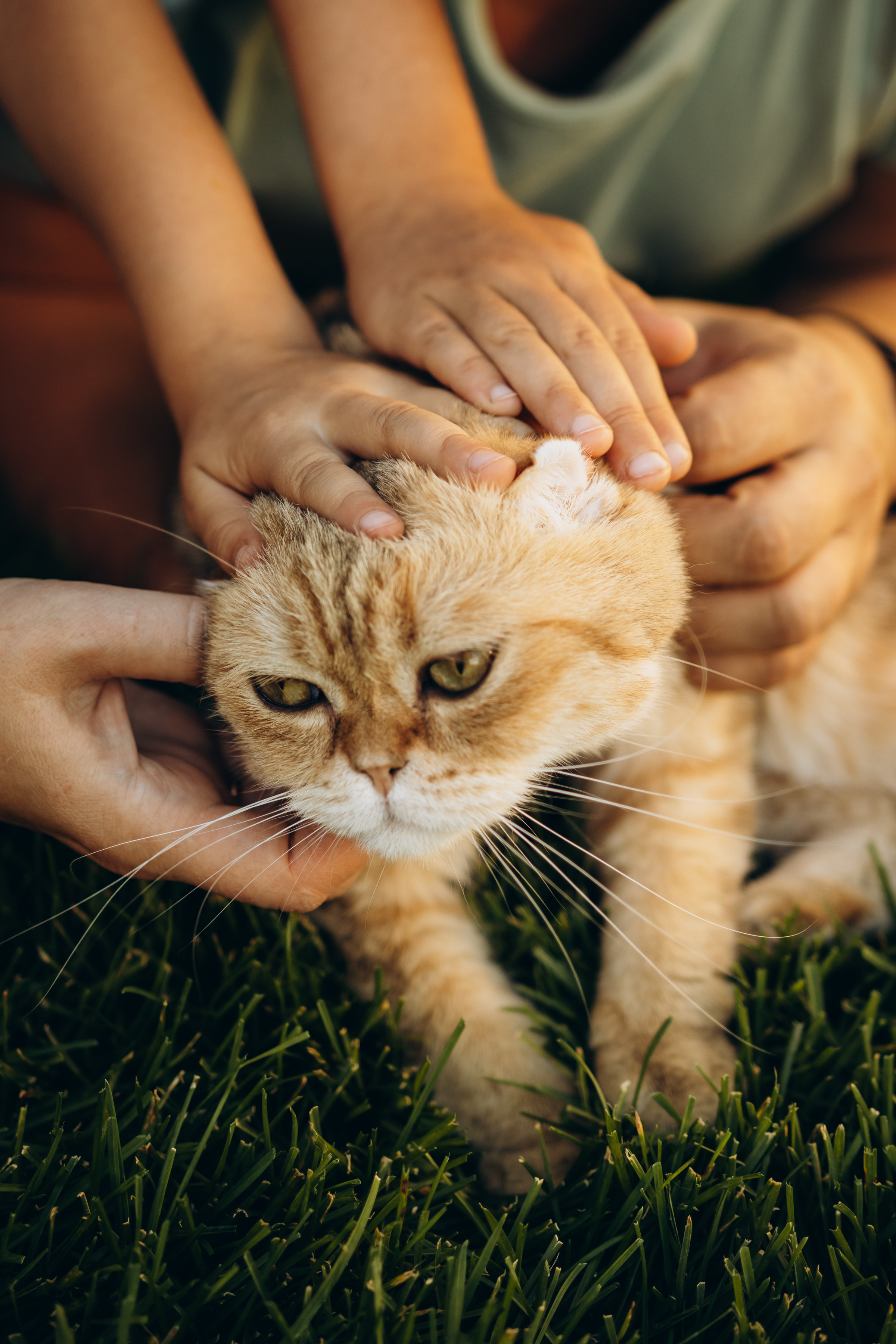 Семейный портрет. Семейный фотограф в Магнитогорске Алина Рыжова
