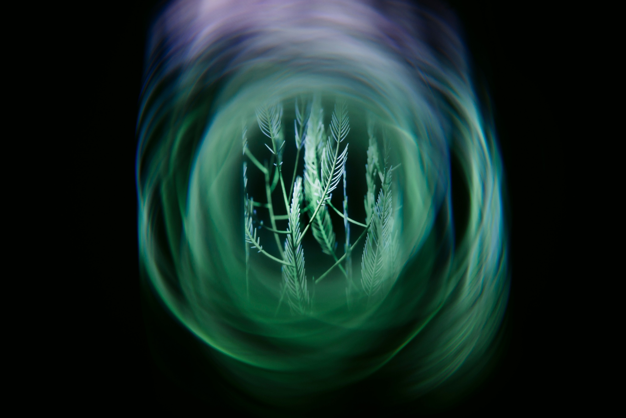 NUR NOW 2026. Главная