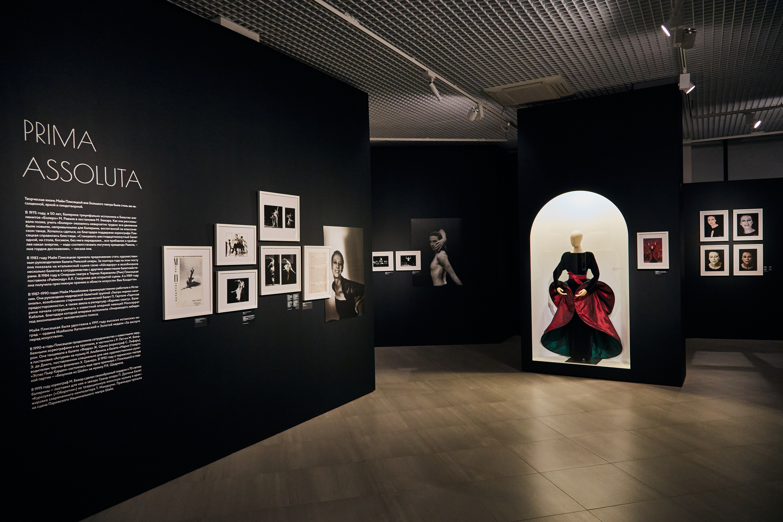 Выставка «Майя Плисецкая. Полюс магии». Даниил Гузиенко — репортажный фотограф в Туле