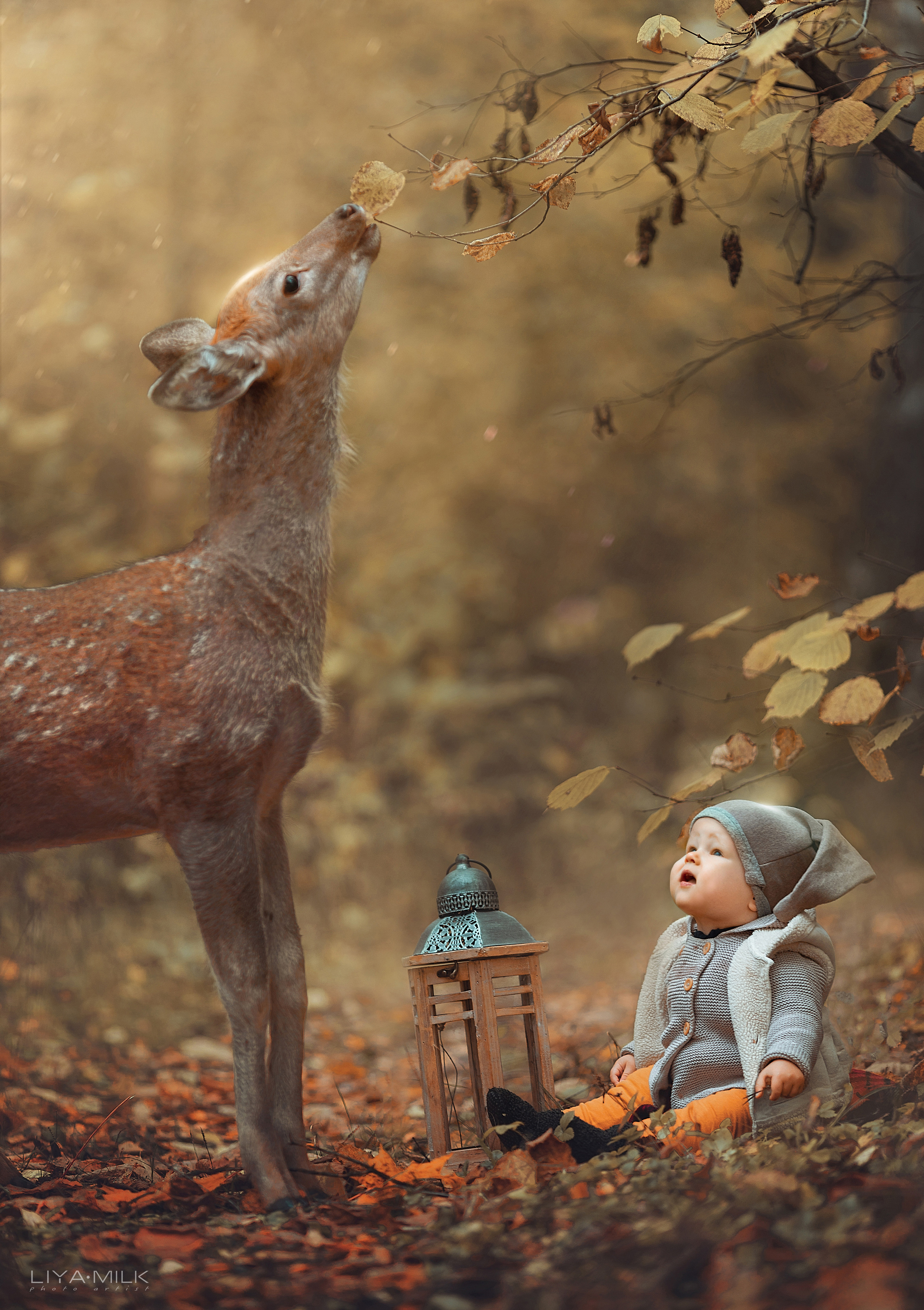 осенние фотосессии фотосессия с оленями детский фотограф Лия милк liyamilk