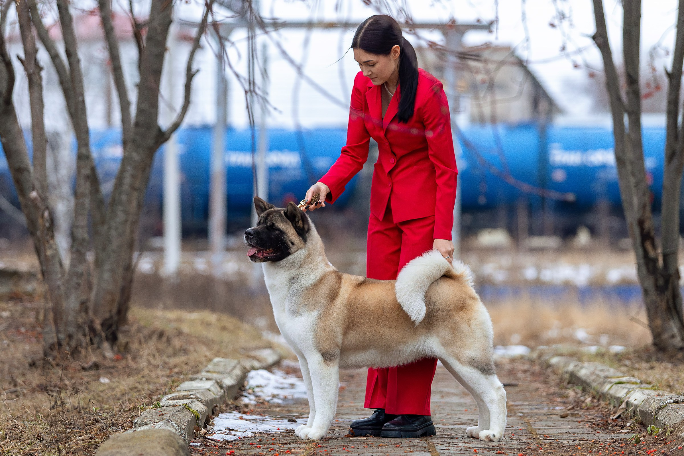 23 ноября 2024, Выставка РКФ, г. Пермь. Htykk_photo