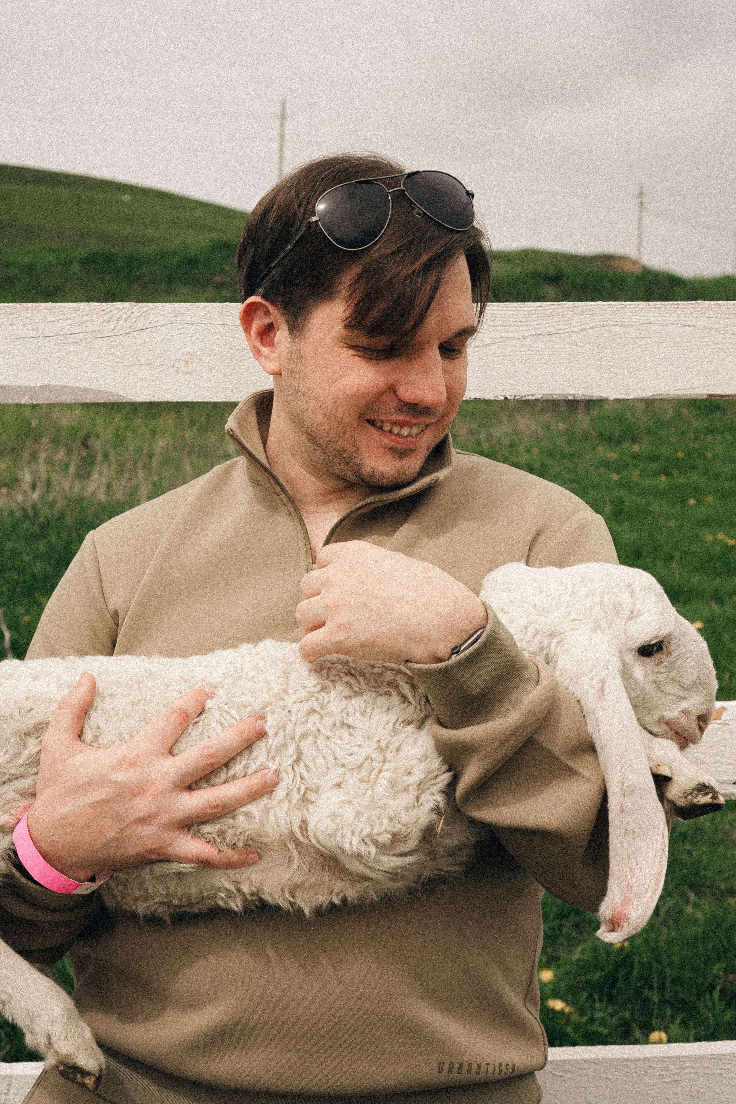 Ферма Альпак. Профессиональный фотограф, Санкт-Петербург — Виктория Богомолова