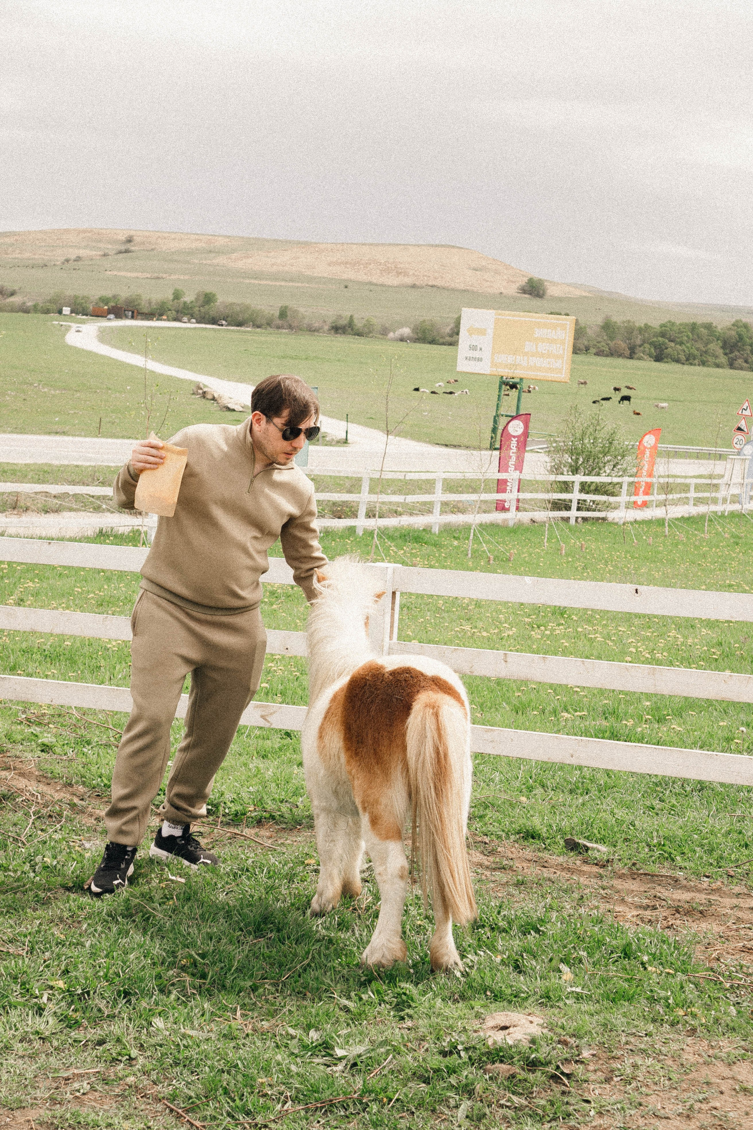 Ферма Альпак. Профессиональный фотограф, Санкт-Петербург — Виктория Богомолова