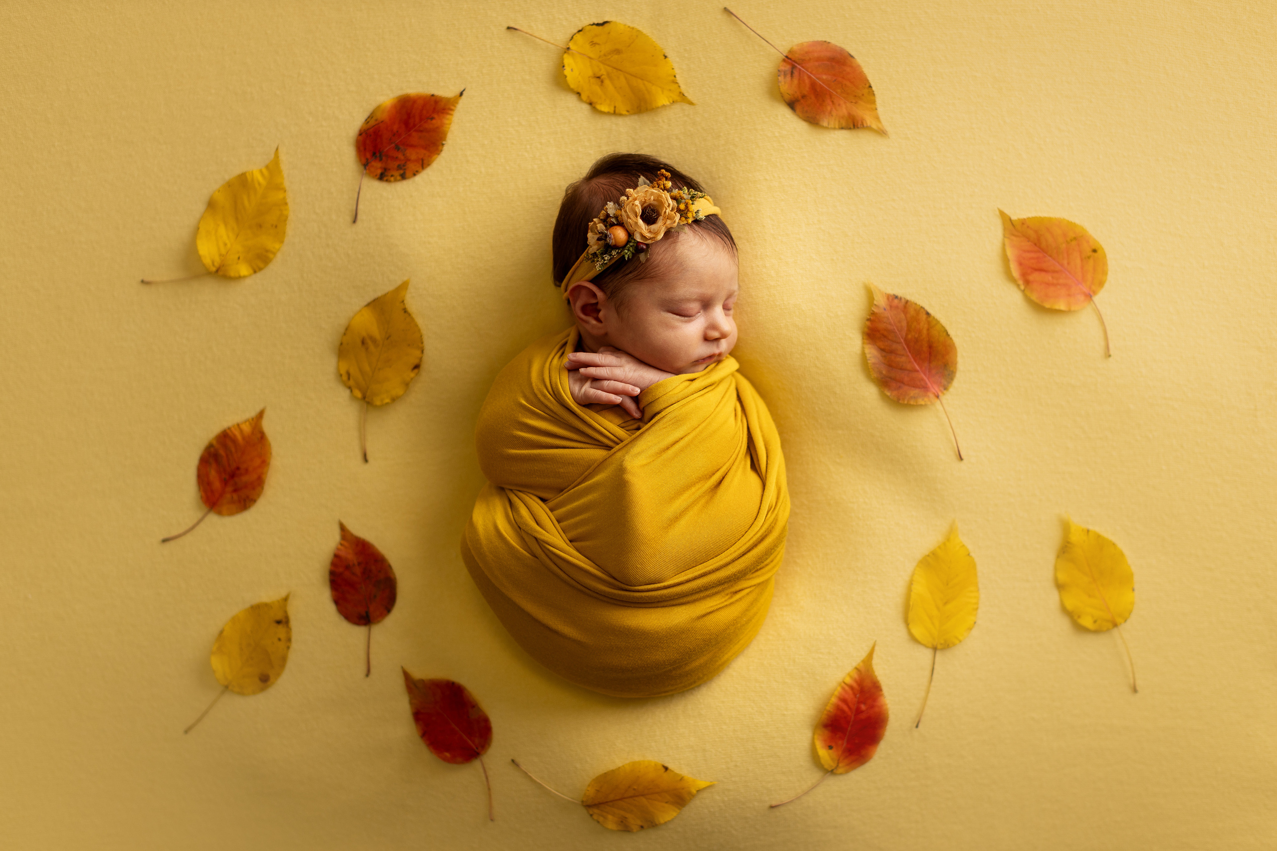 Портфолио. Фотограф новорождённых в городе Щёлково и Москве Екатерина Фоменко