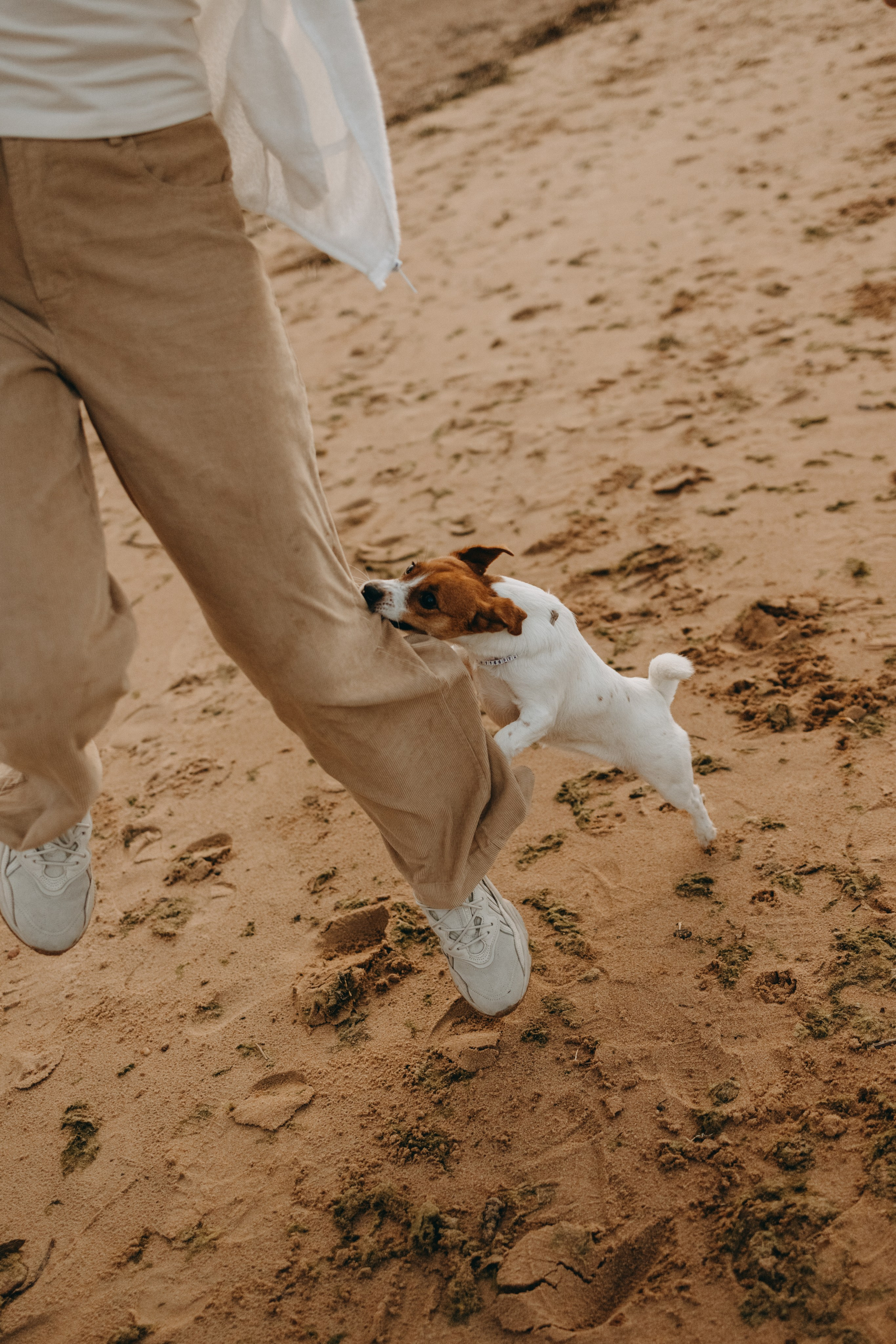 Лея и ее семья. Фотограф — Анималист | Санкт-Петербург