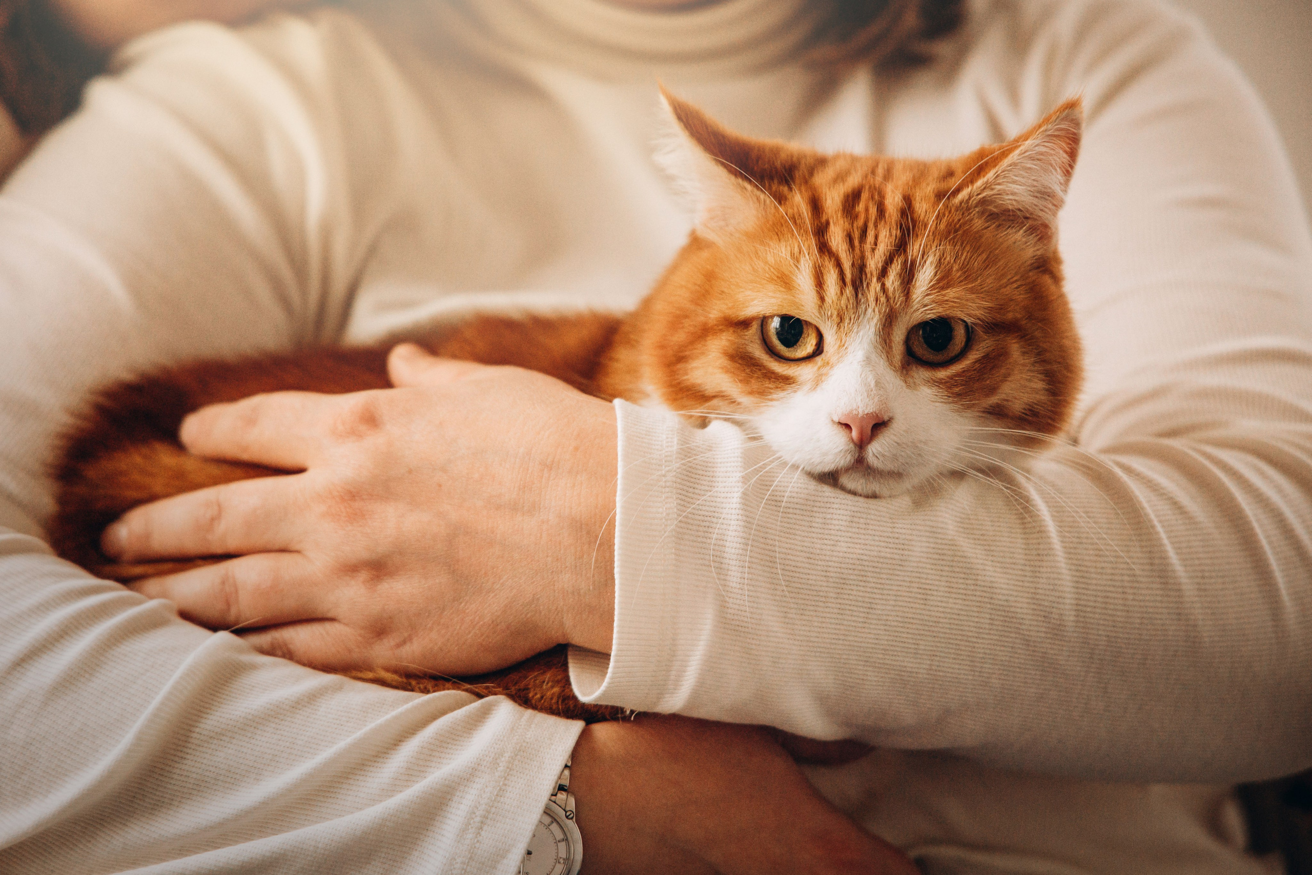 Аня и ее семья. Фотограф — Анималист | Санкт-Петербург