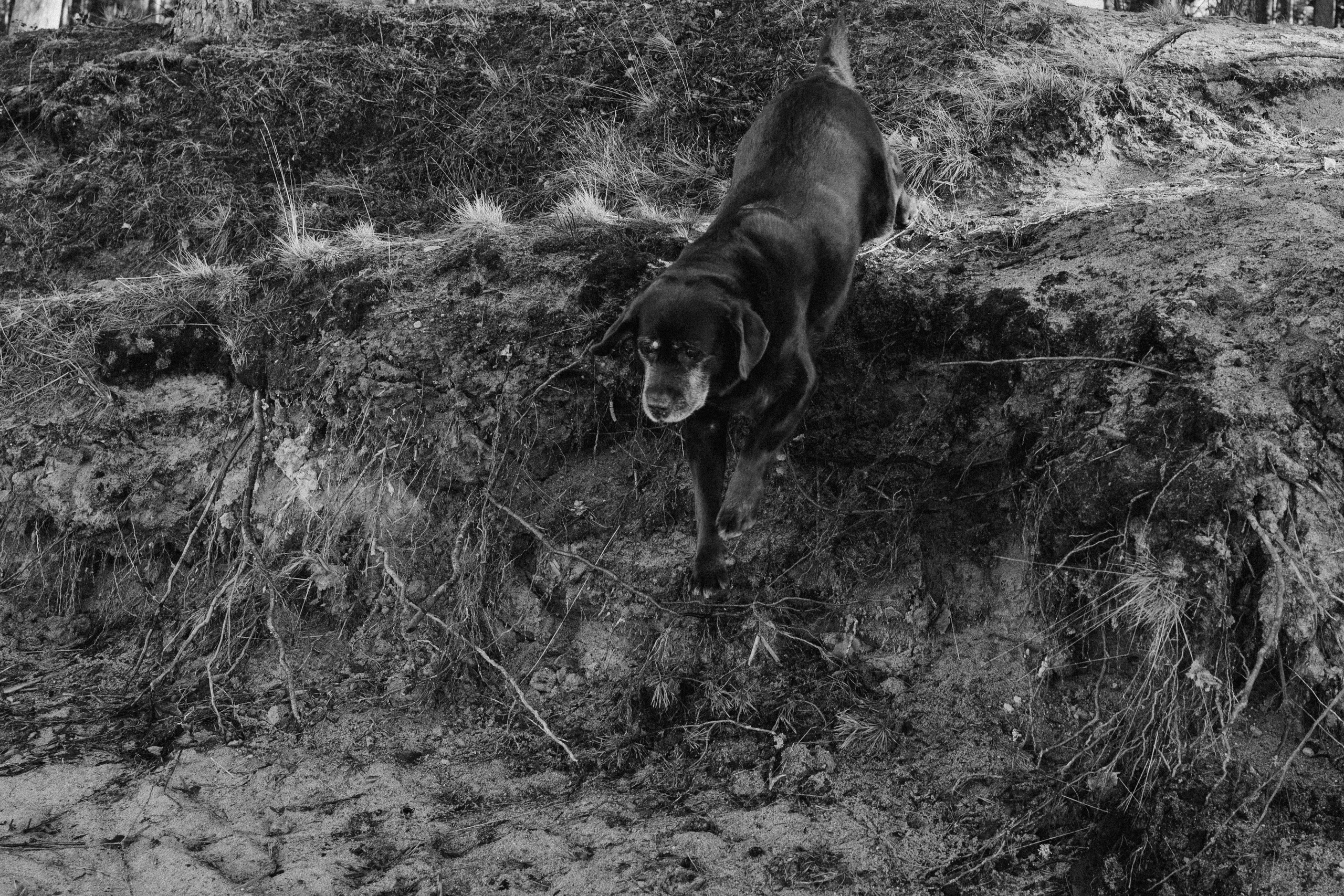 Оля и Питоня. Фотограф — Анималист | Санкт-Петербург