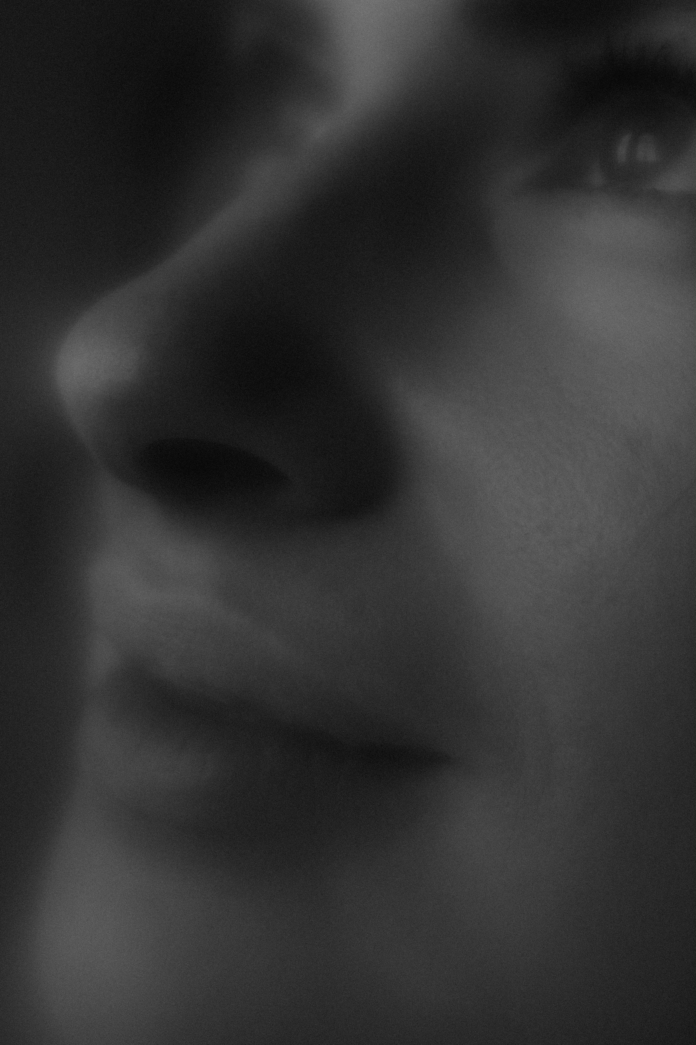 Portrait. Главная